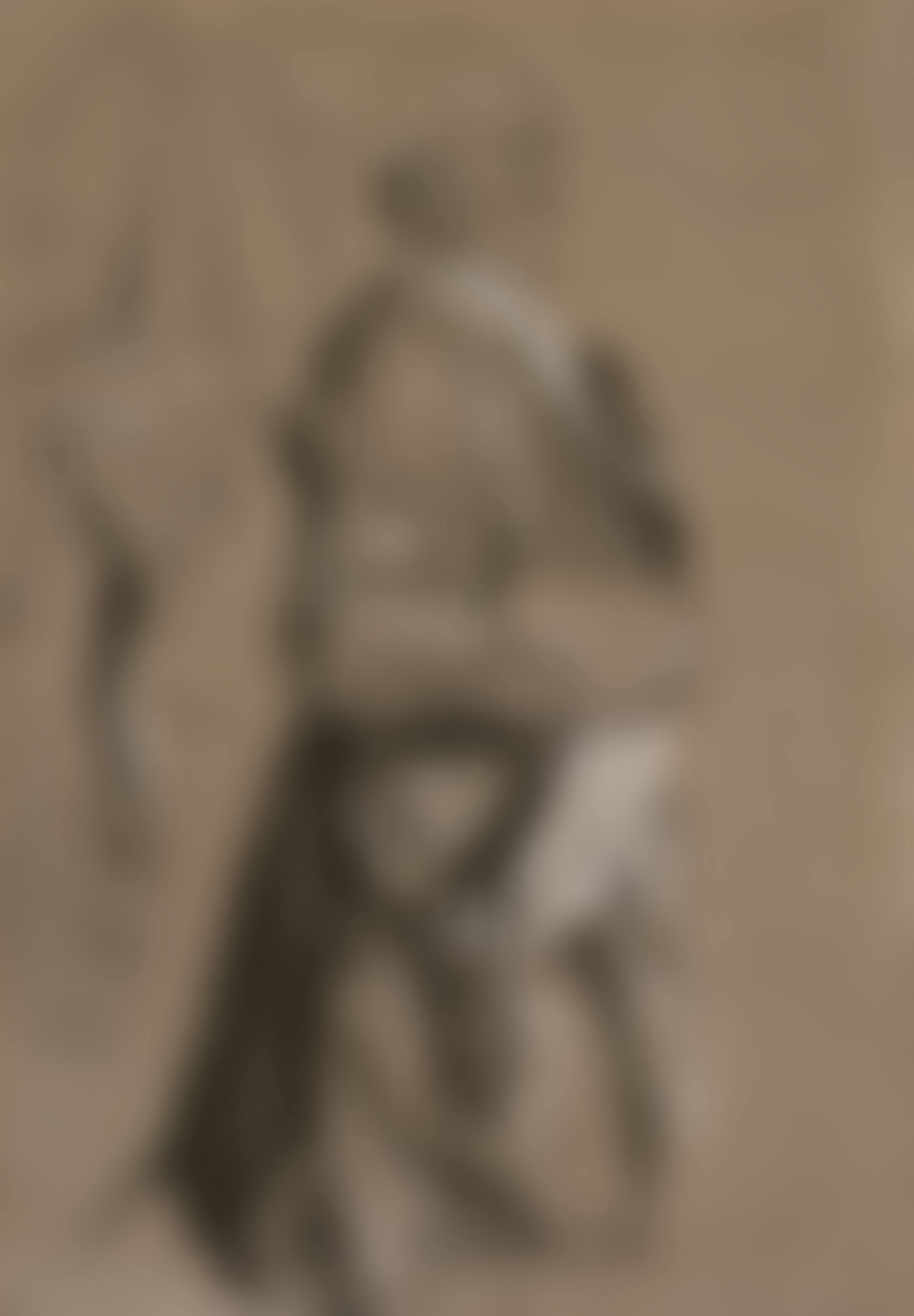 Studie für 'Flötenkonzert Friedrichs II. in Sanssouci' (preview)