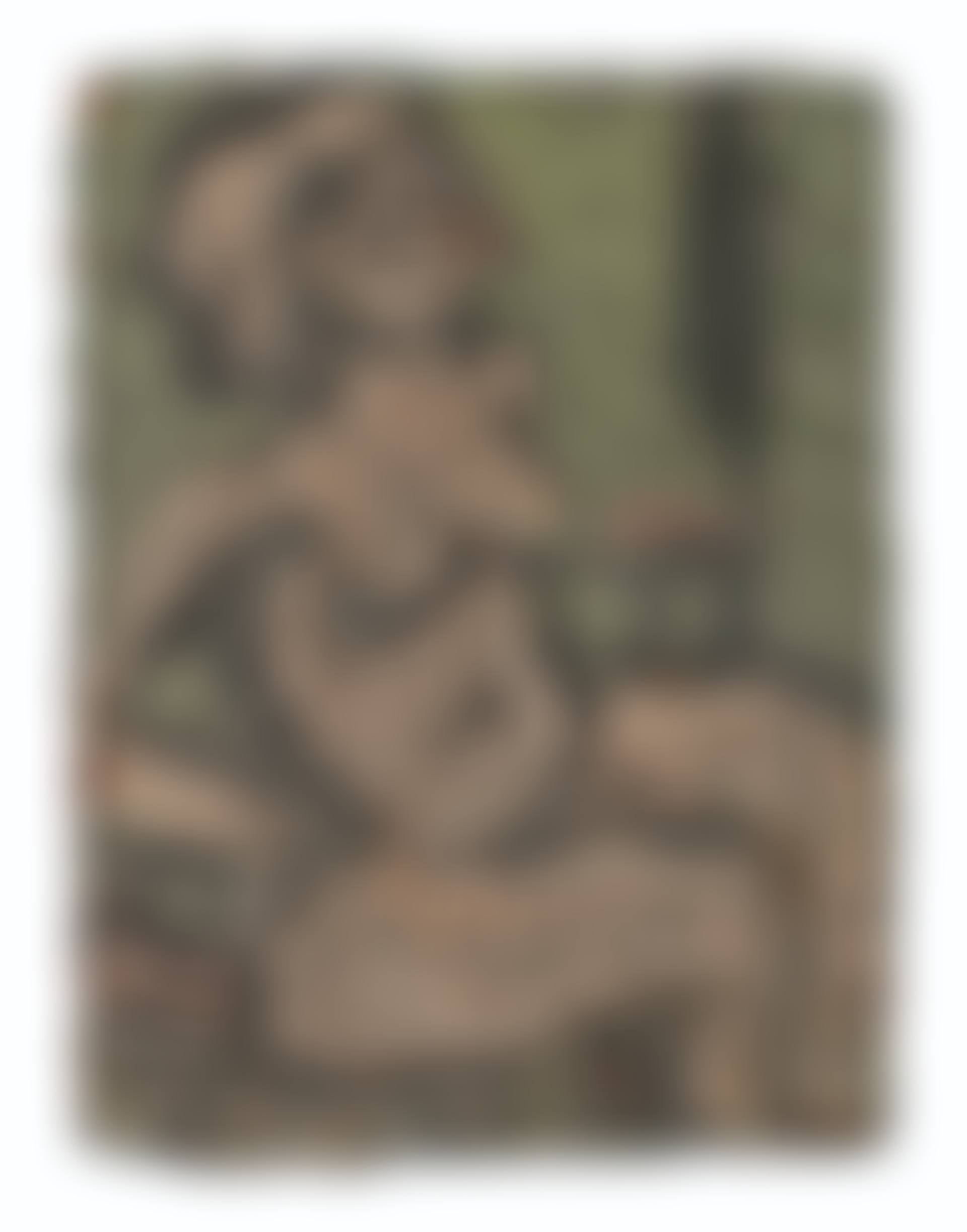 Fidelma No. 2 (preview)