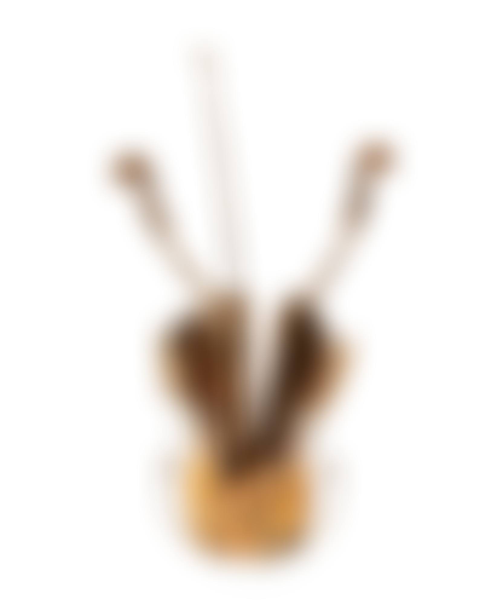 Violon de Venise (preview)