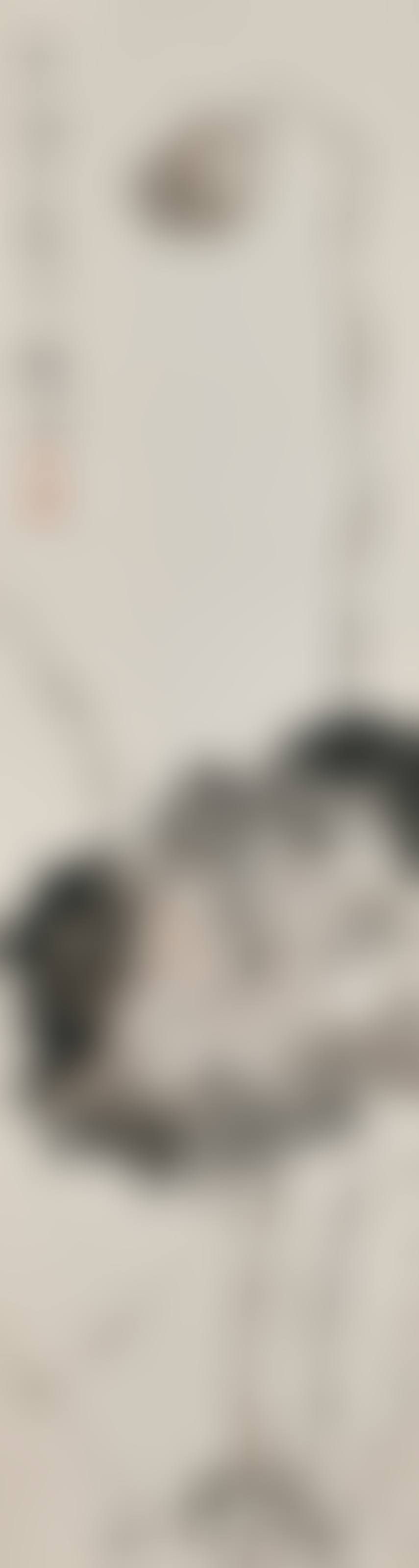 Lotus Pond (preview)