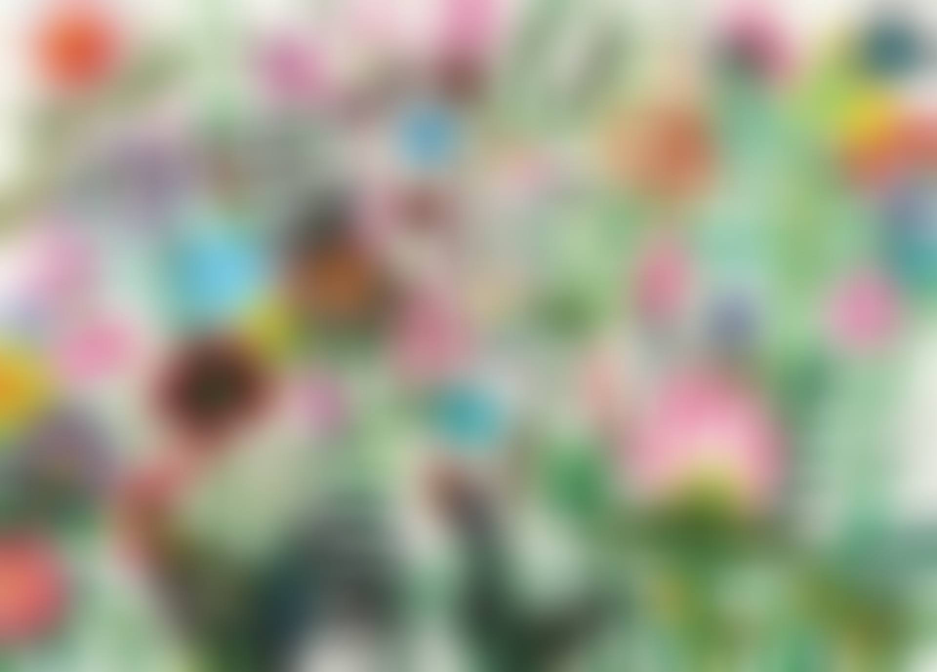 Hens (preview)