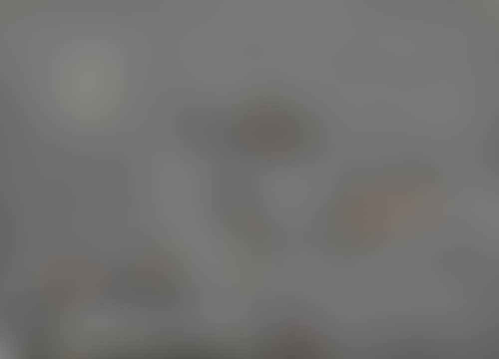 DORA VALLIER (preview)