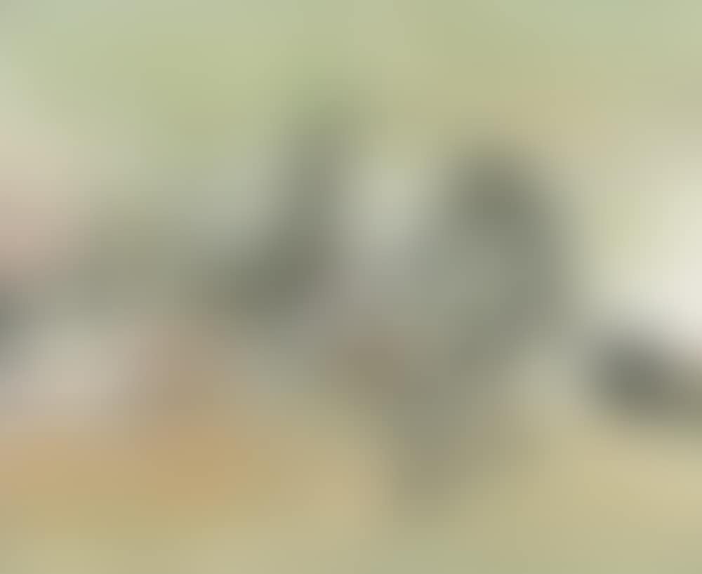 30.11.94 (preview)