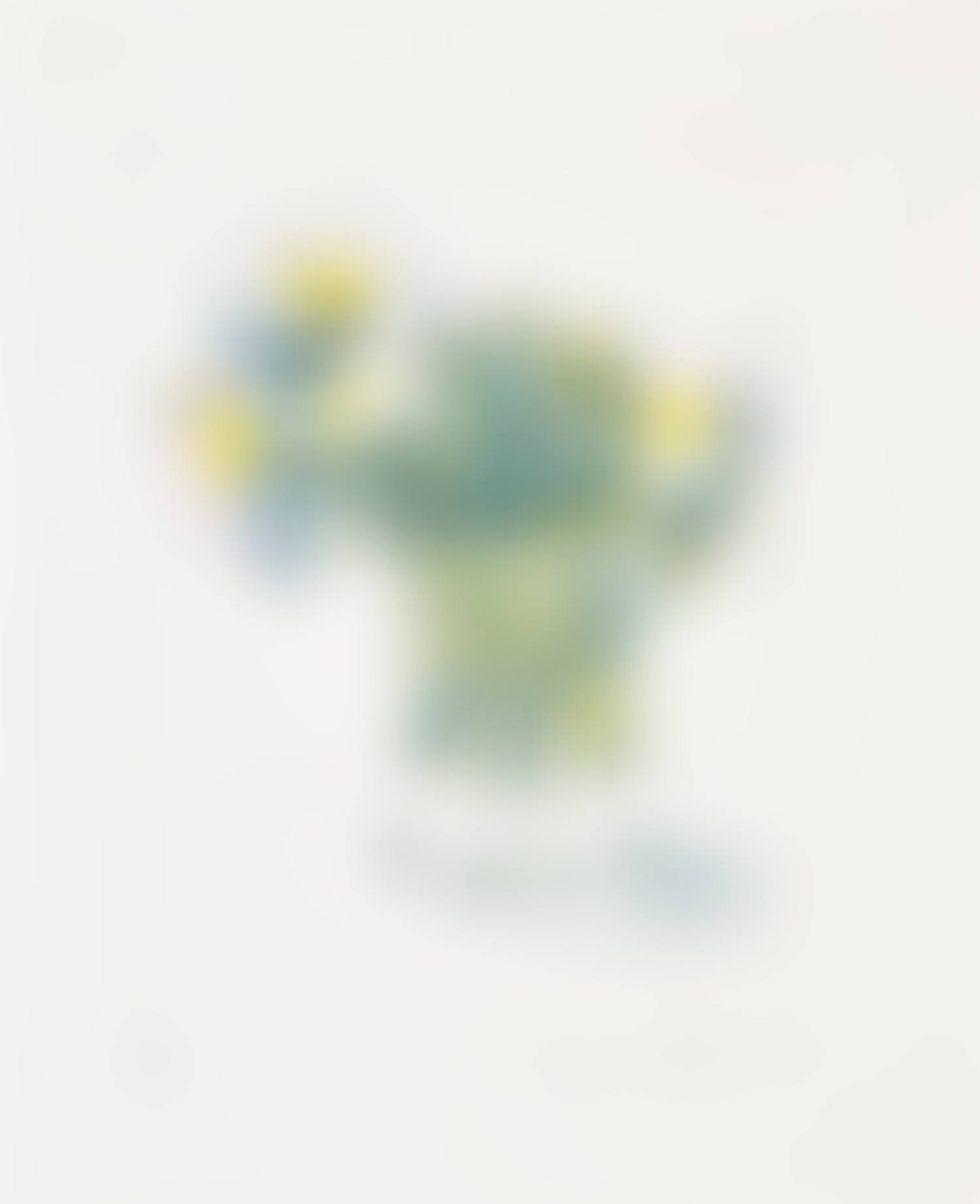 Marguerites (S.A.C. 157, M.C.A.T. 141) (preview)