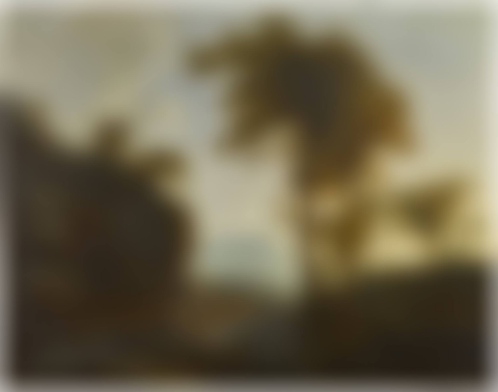 Extensive landscape with a shepherd and shepherdess and their flock (preview)
