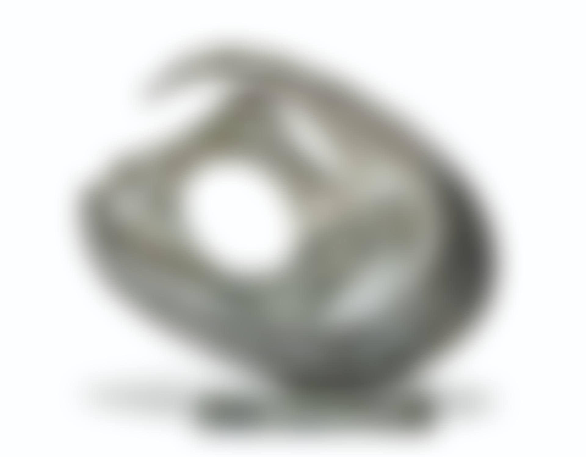 Curved Form with Inner Form (Anima) (preview)