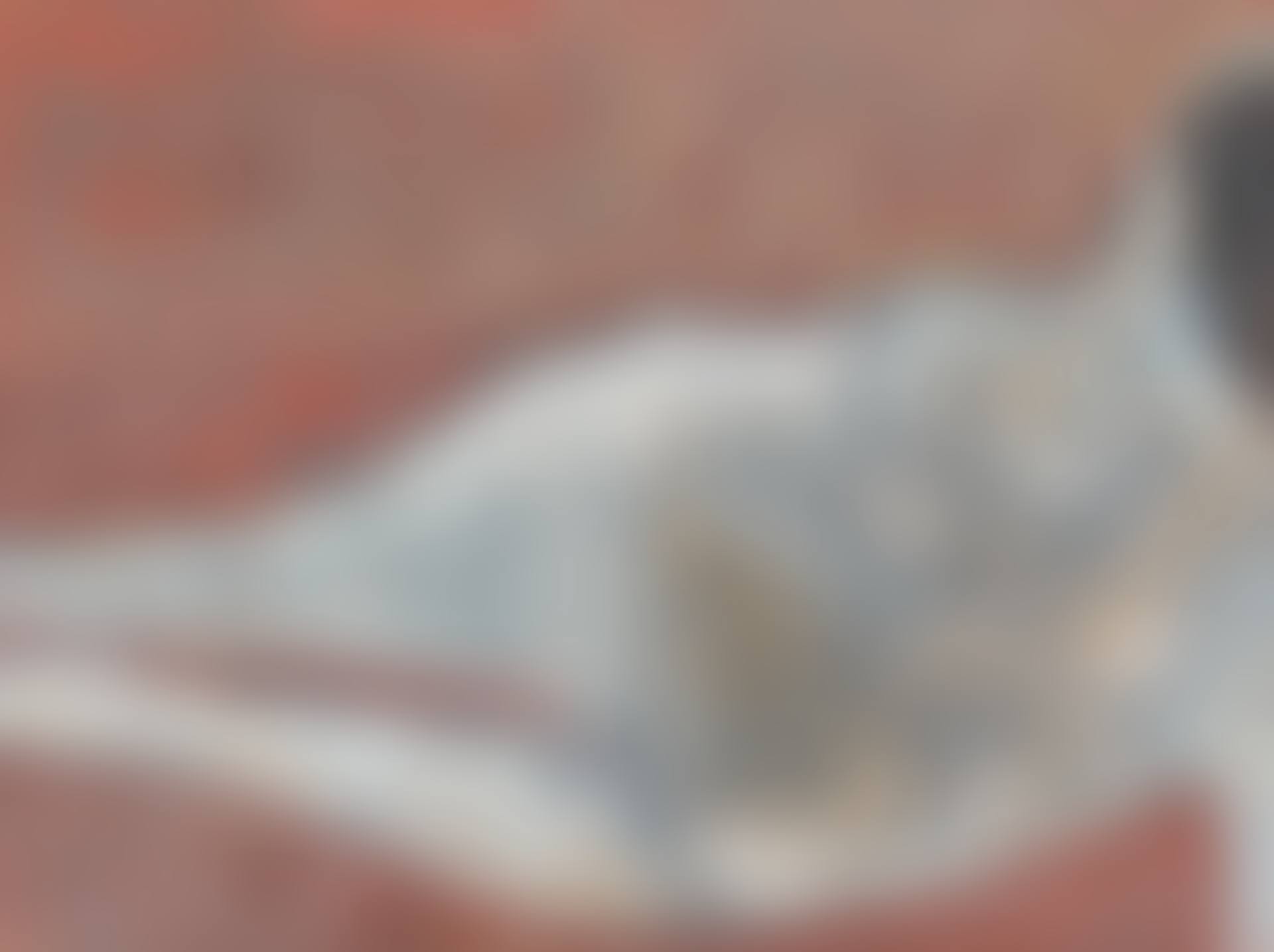 Reclining Nude (preview)