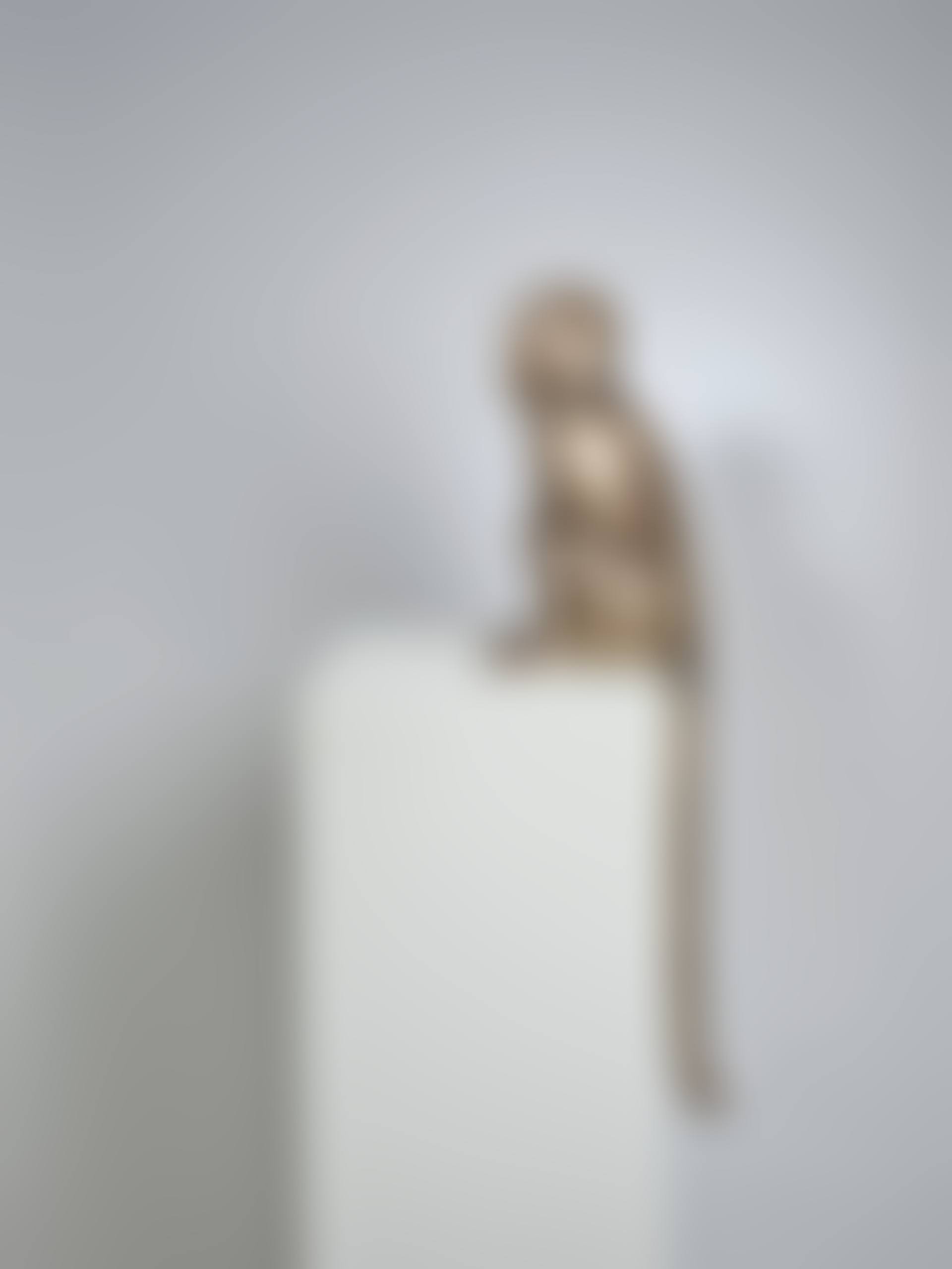 Singe attentif (preview)