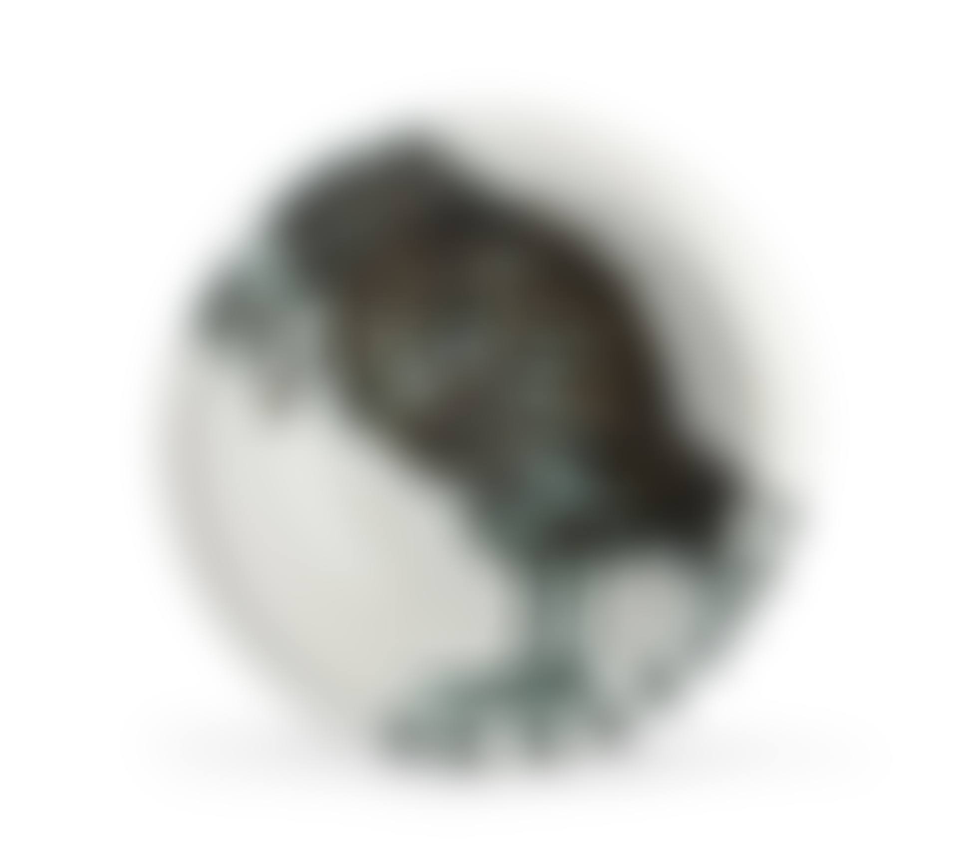 Bird with Worm (preview)