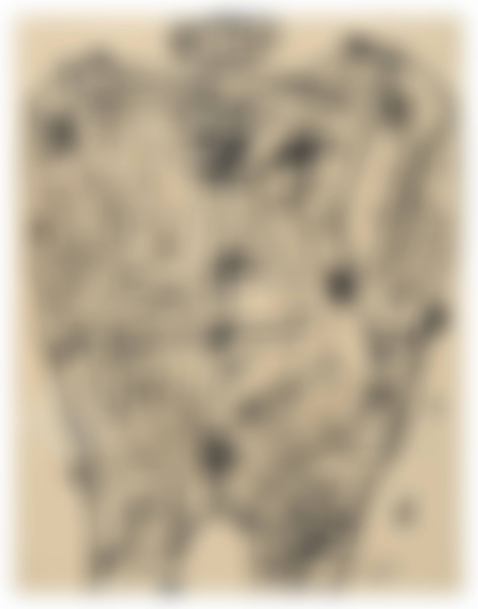 Sans titre (preview)