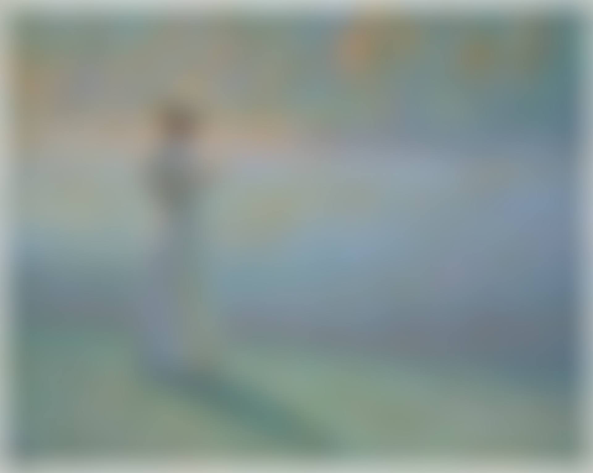 Femme lisant dans un paysage (preview)