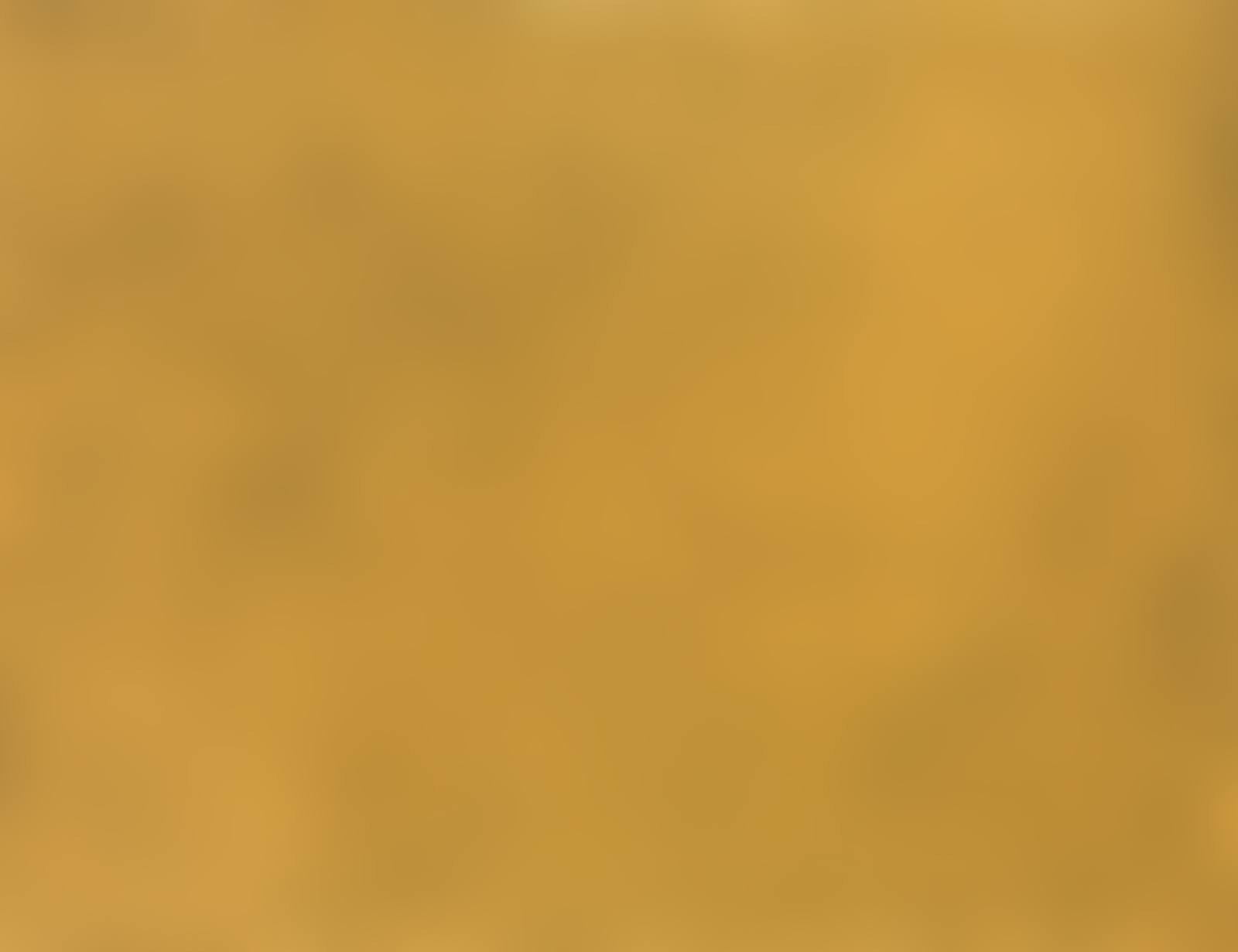 Gold Sky Nets (preview)