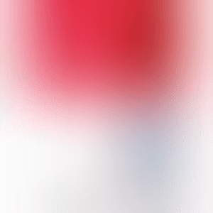 1. RED - TIME／2. Introduced in 2001 "Time Bokan-red" ／3. BOKAN - camouflage pink (preview)