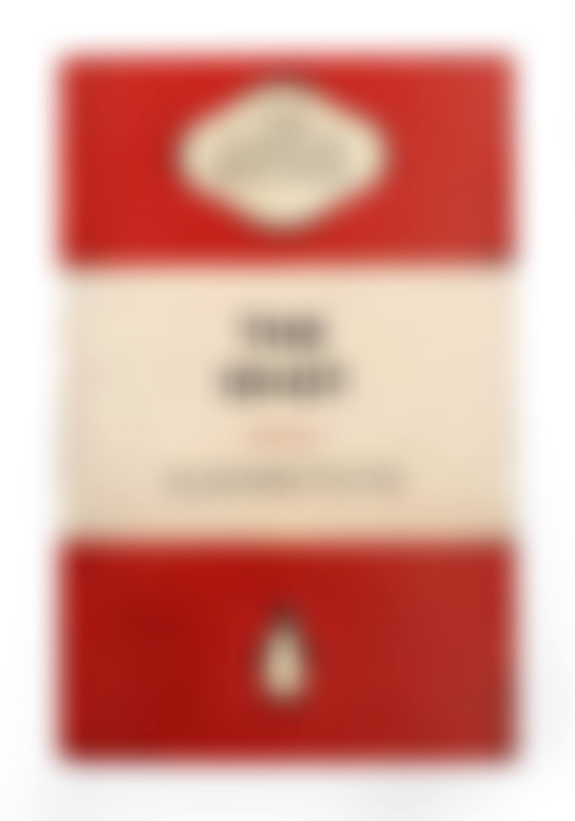 The Idiot (preview)