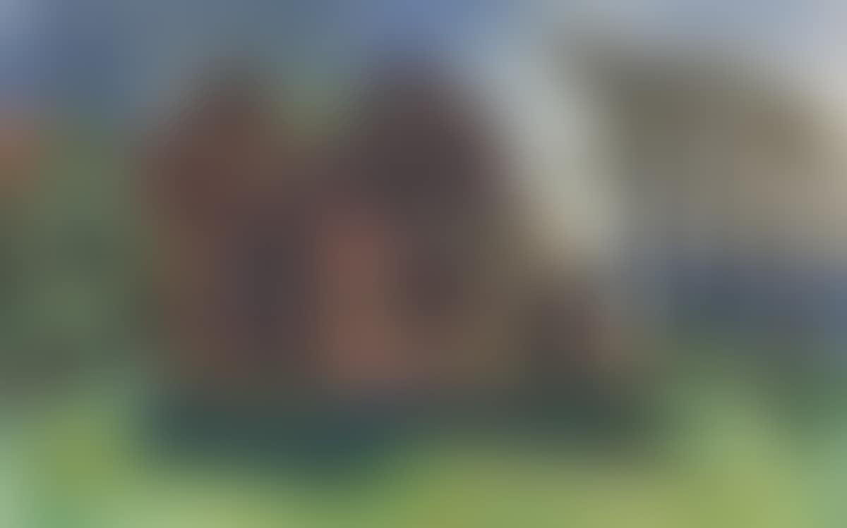 Moonlit House. (preview)