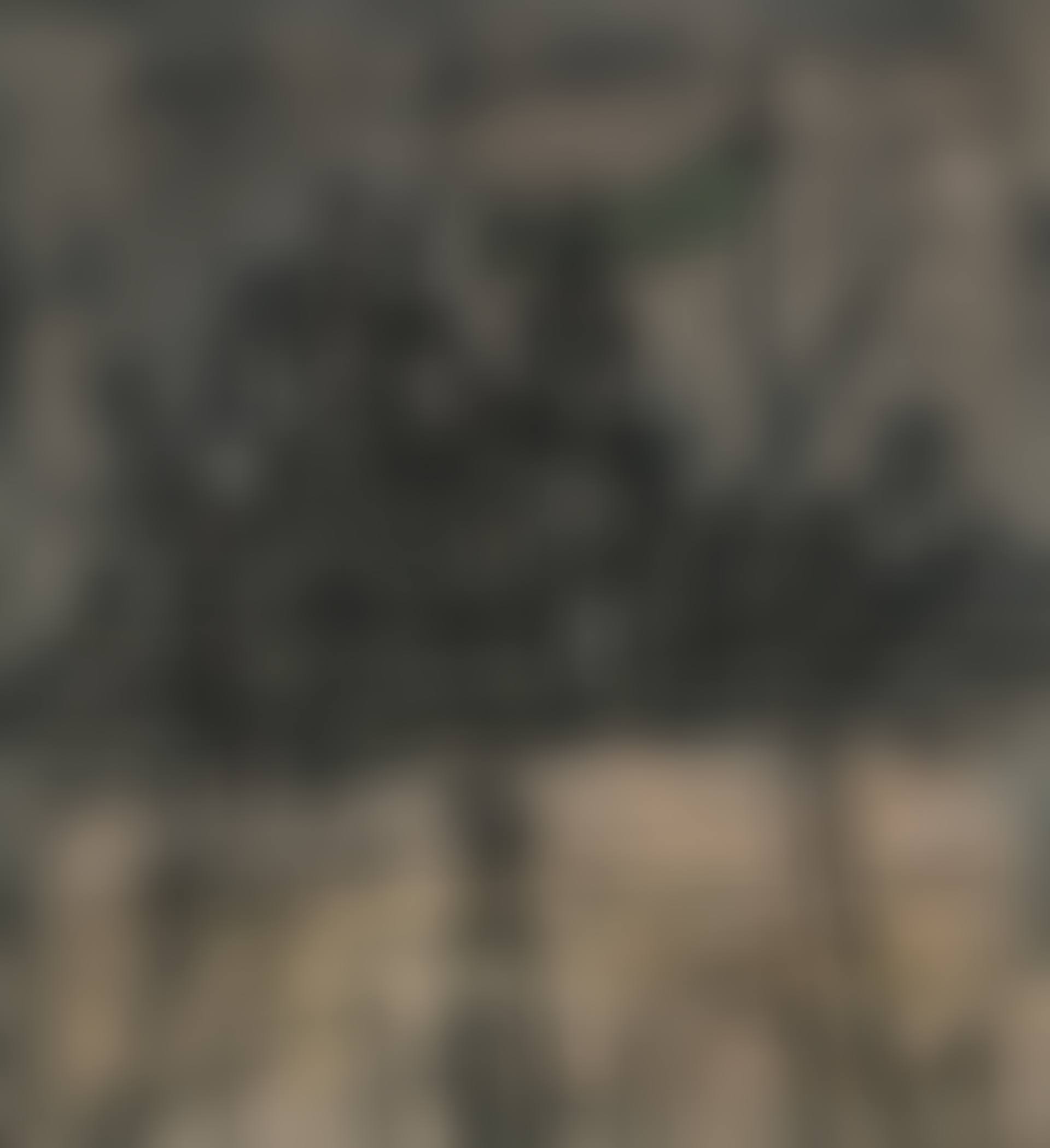 Untitled (Citadel with Flag) (preview)