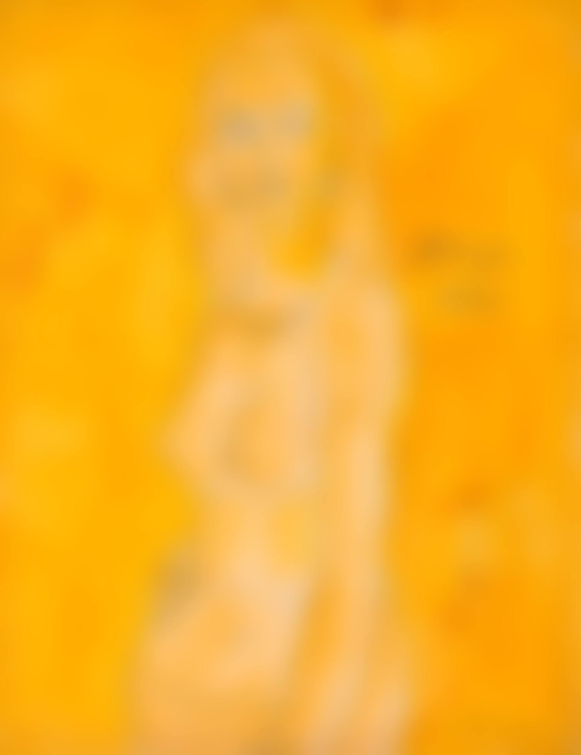 Untitled (Nude with Necklace) (preview)