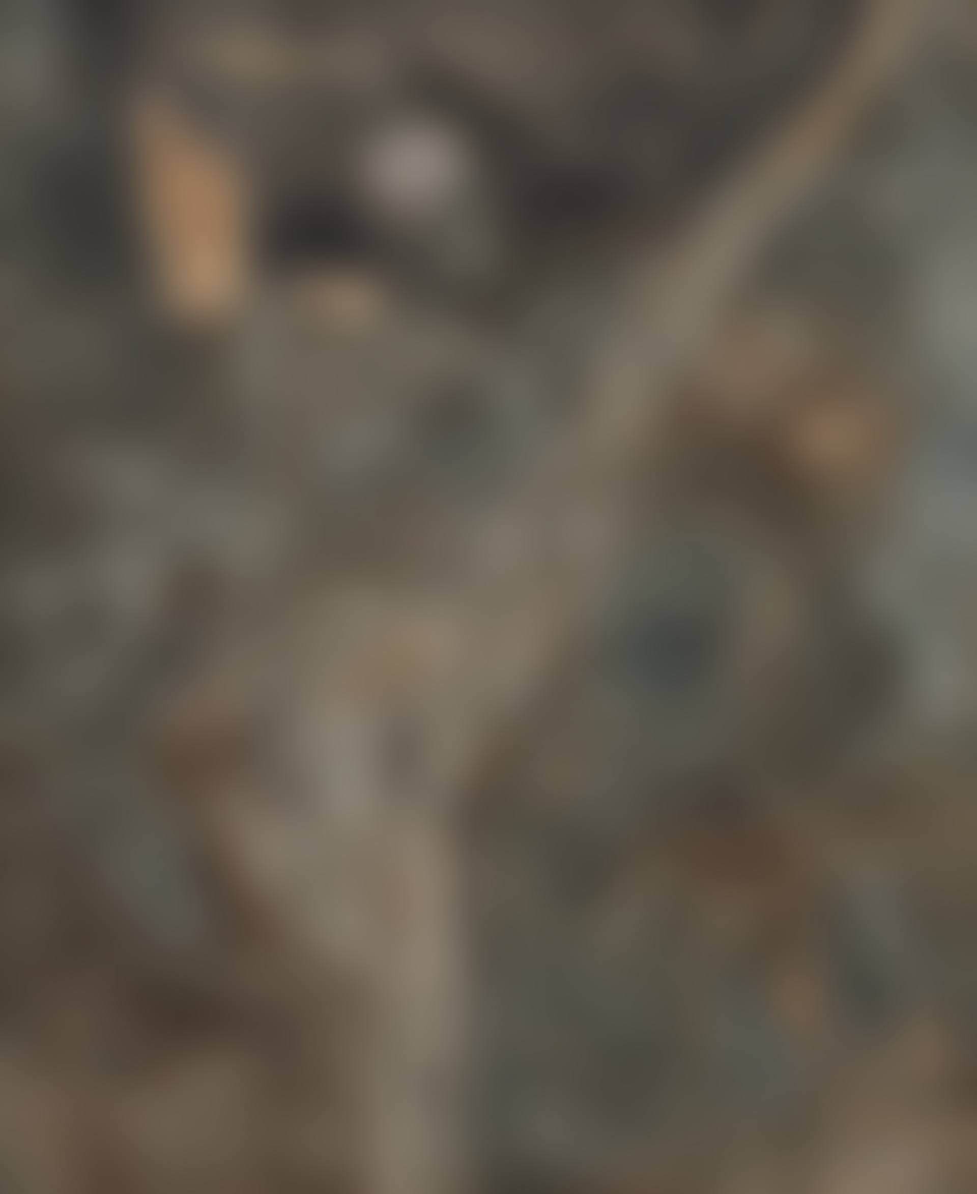 Untitled (preview)
