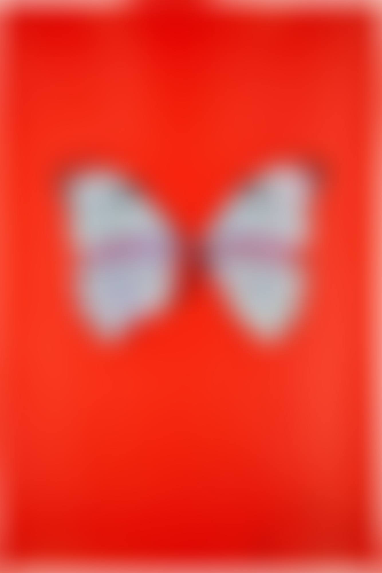 Untitled (Red Butterfly) (preview)