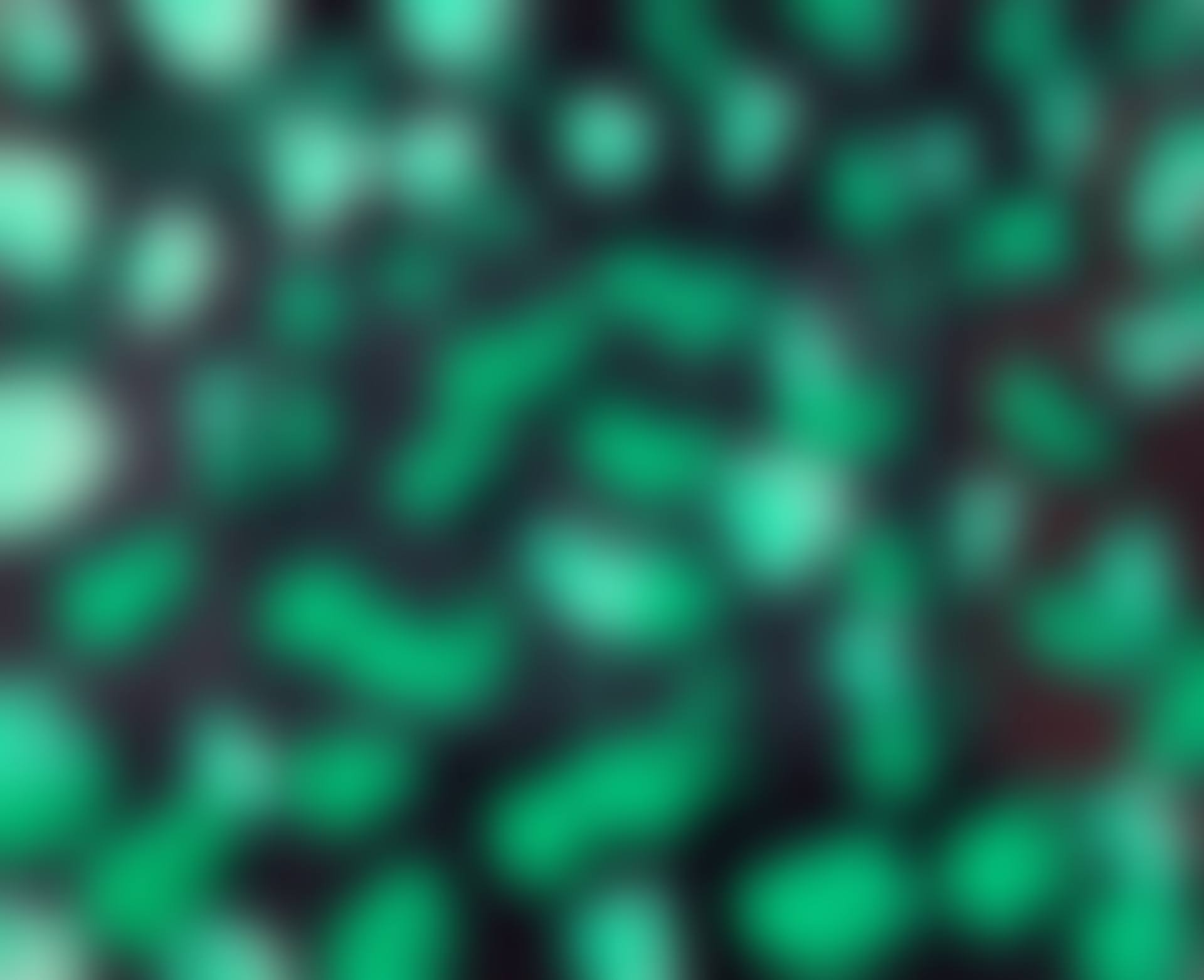 Multiplication (Not in Heenk) (preview)