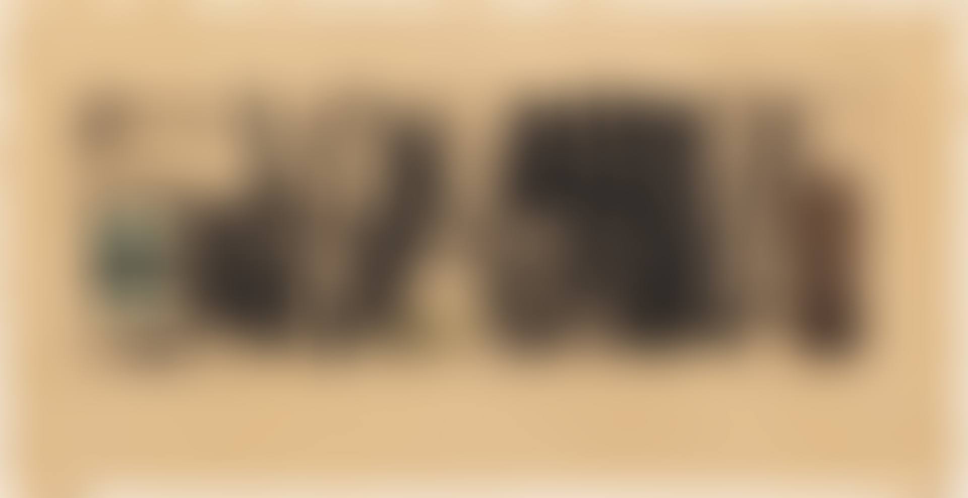 Sans Titre (preview)