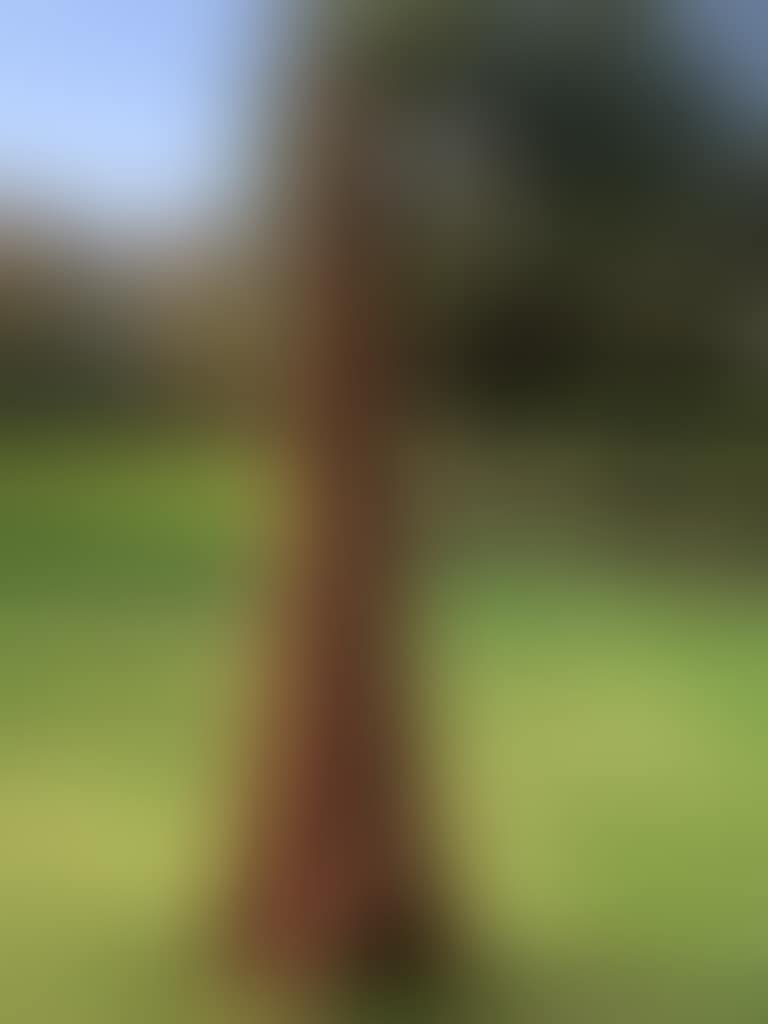 10 Acute Unequal Angles (preview)