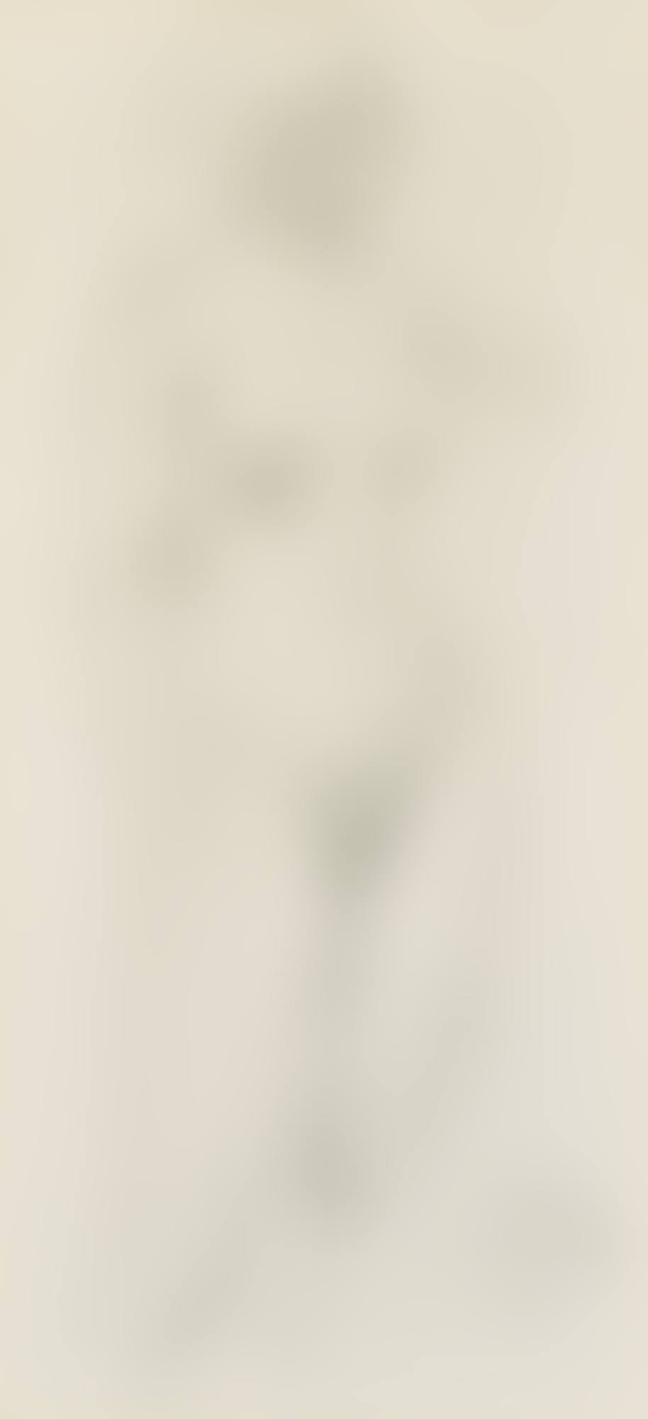 Female Nude (preview)