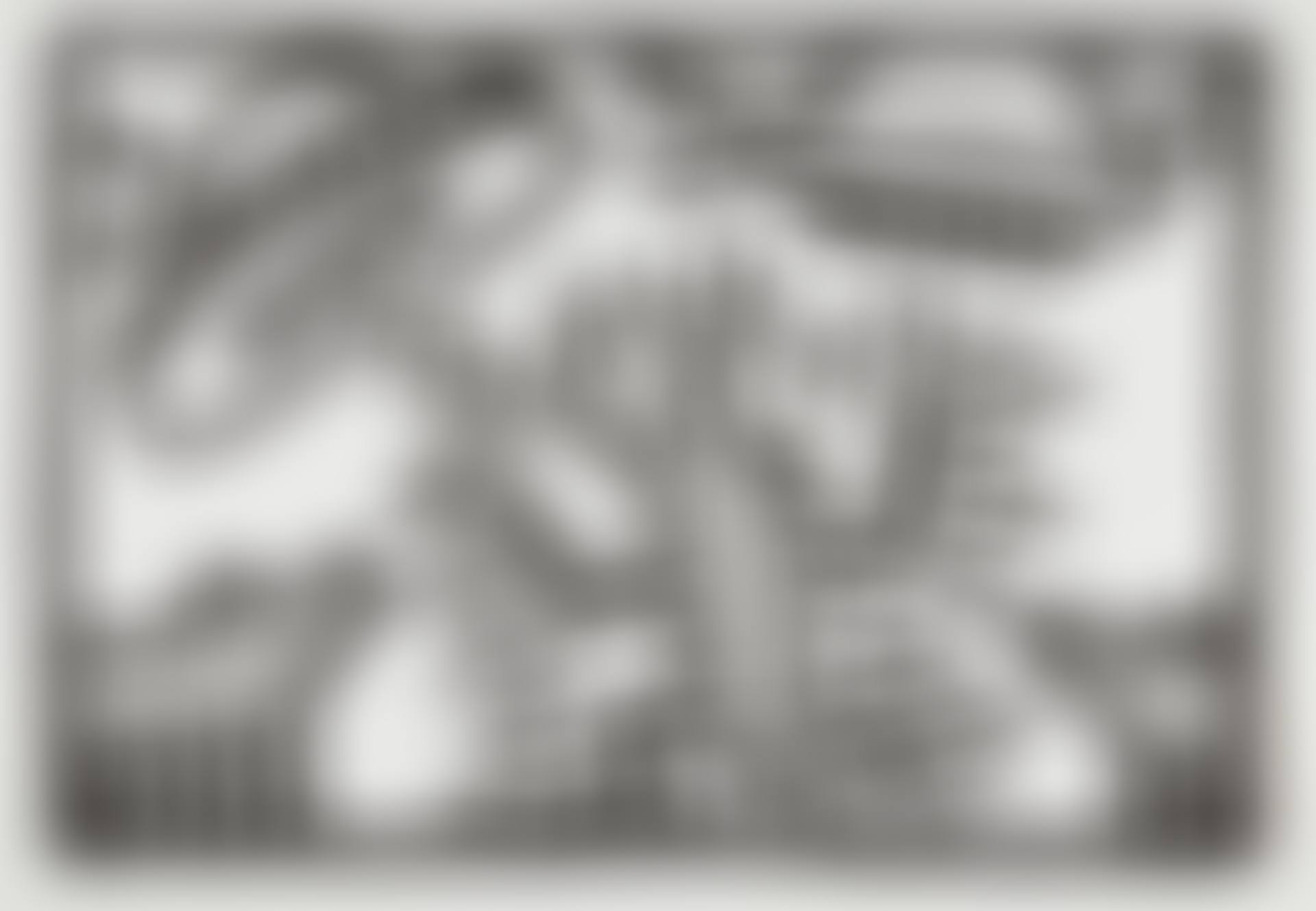 Untitled 1-6: one plate (L. p. 20) (preview)