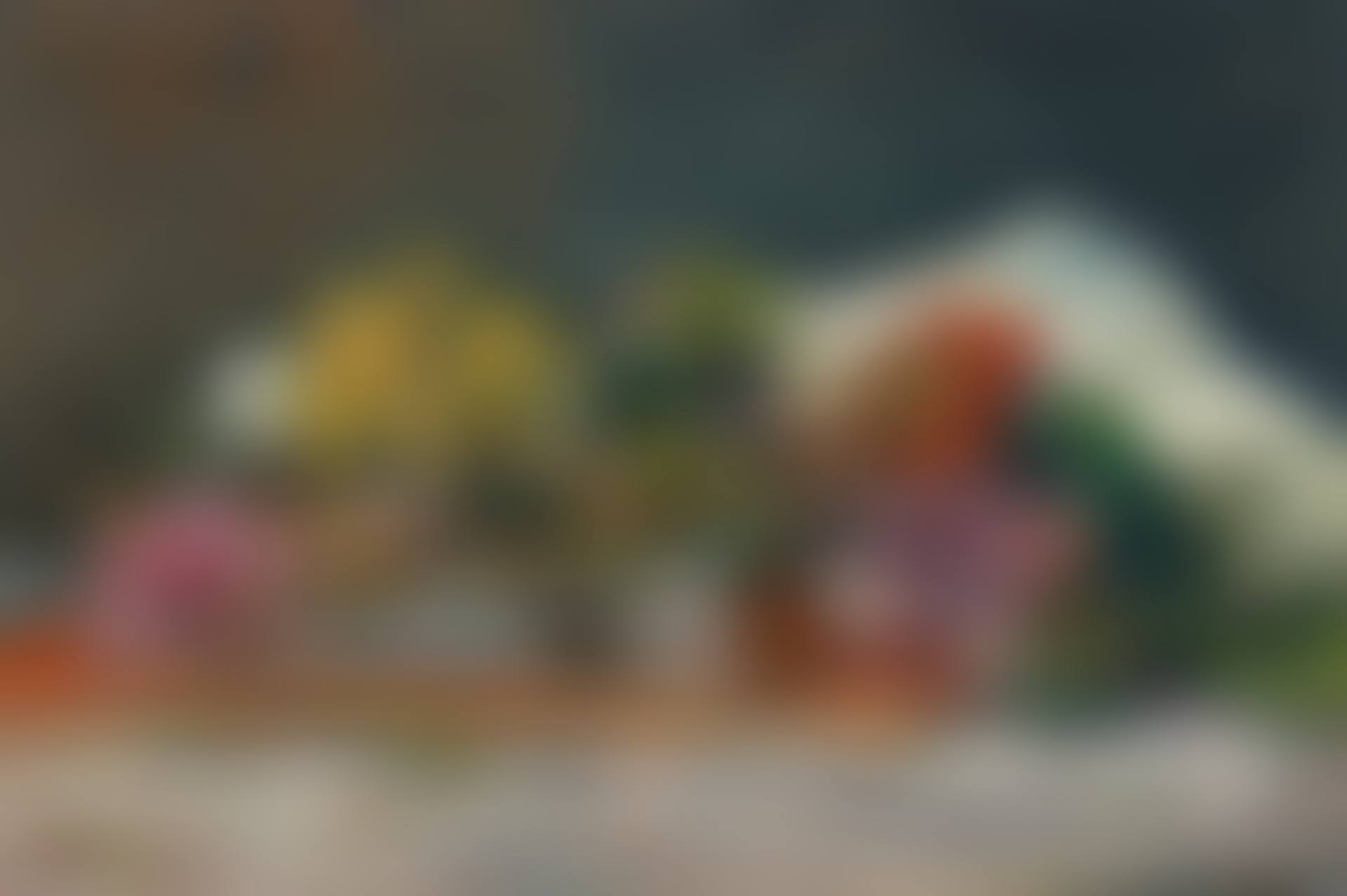 Fleurs et livres (preview)