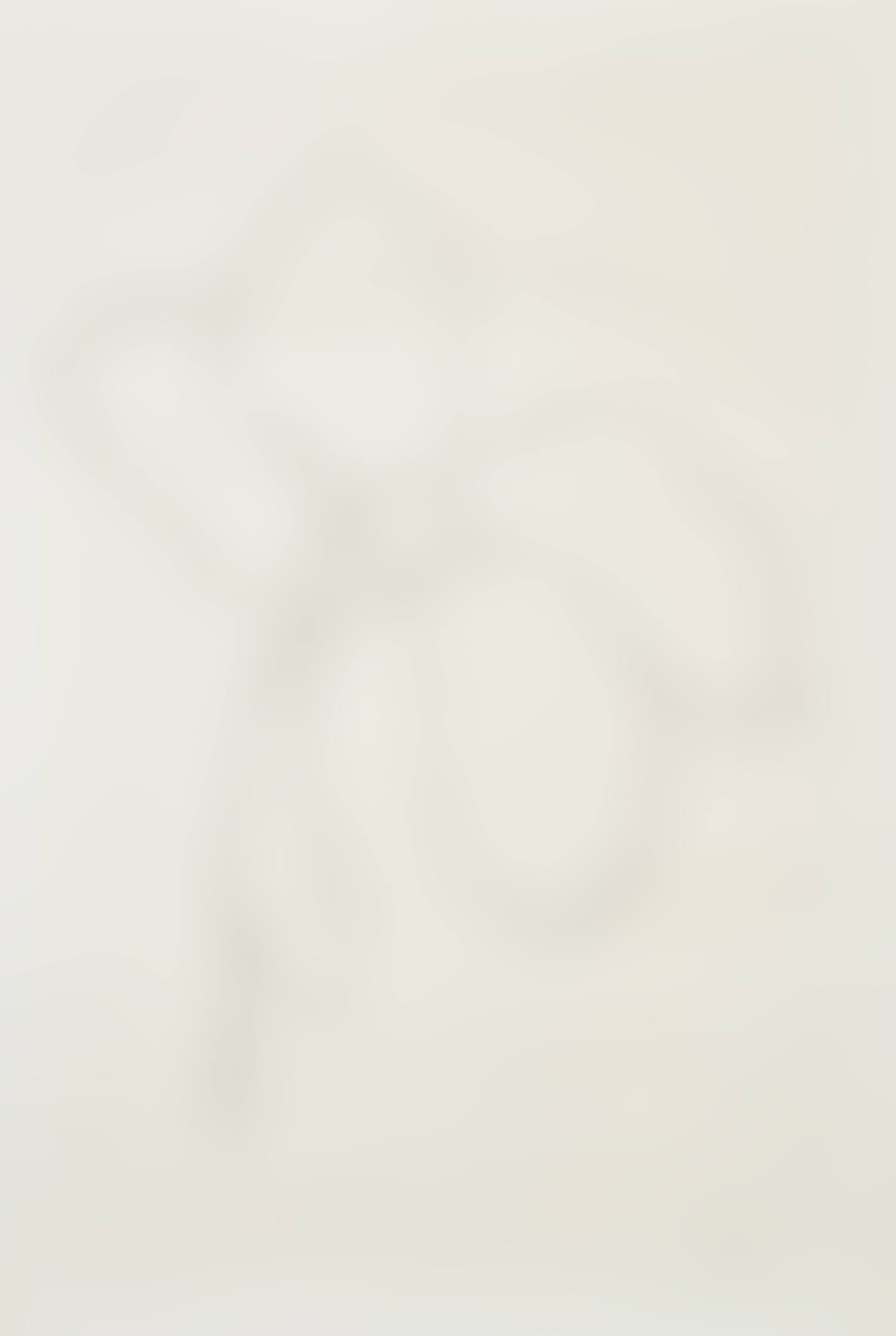 Cyclamen III, from Suite of Plant Lithographs (A. 38) (preview)