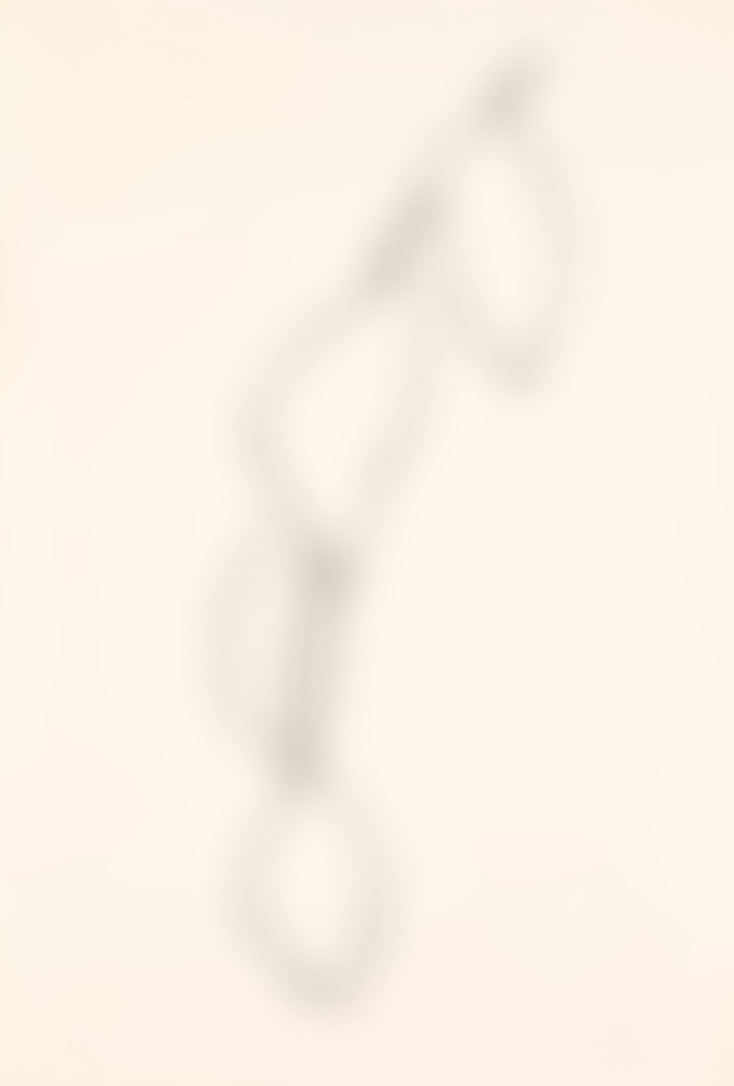 Lemon Branch (Branche de Citorn), from Suite of Plant Lithographs (A. 57) (preview)