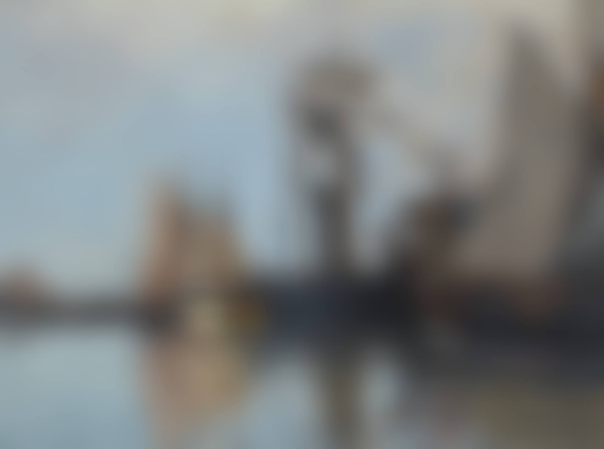 Bateaux dans le port de Honfleur (preview)