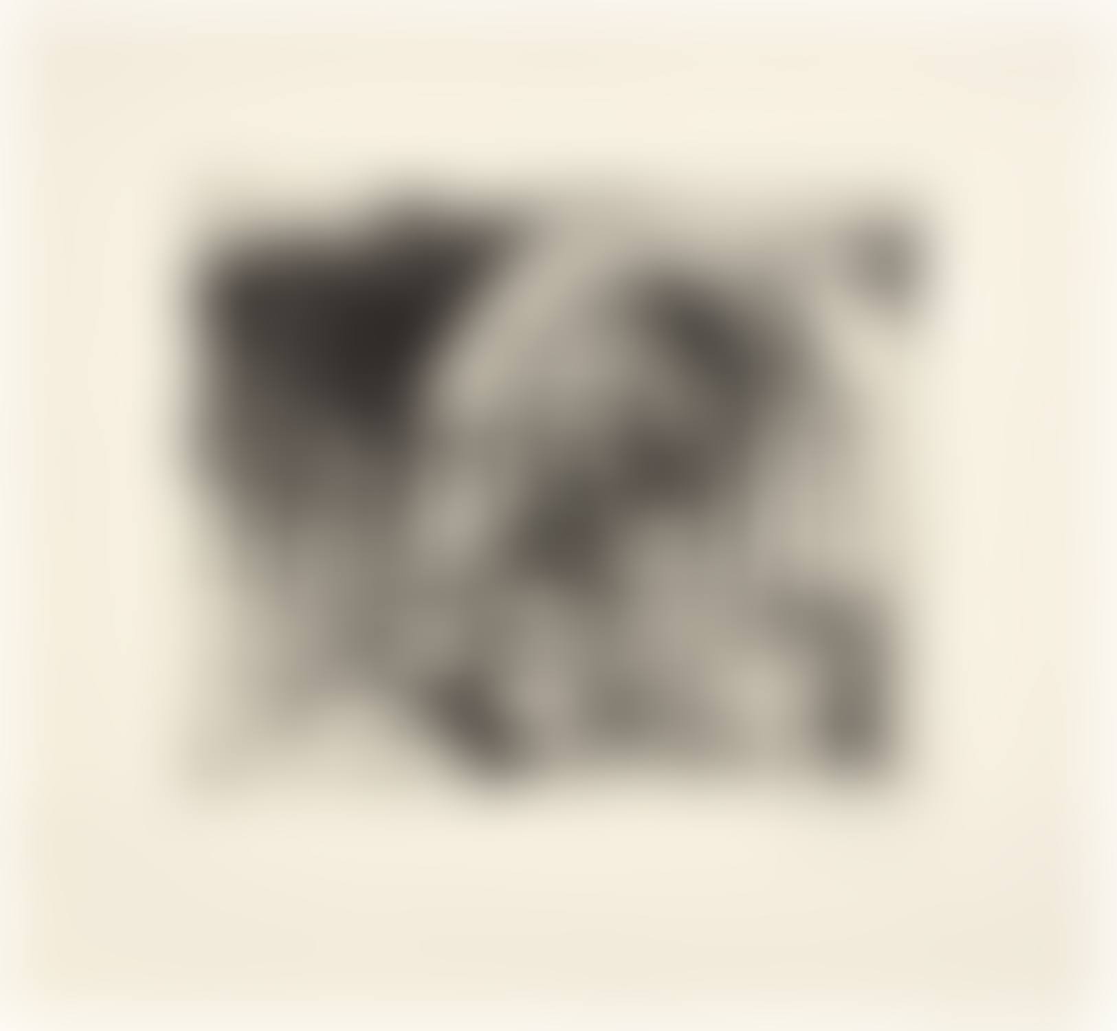 Untitled (Central Park Bandshell) (preview)
