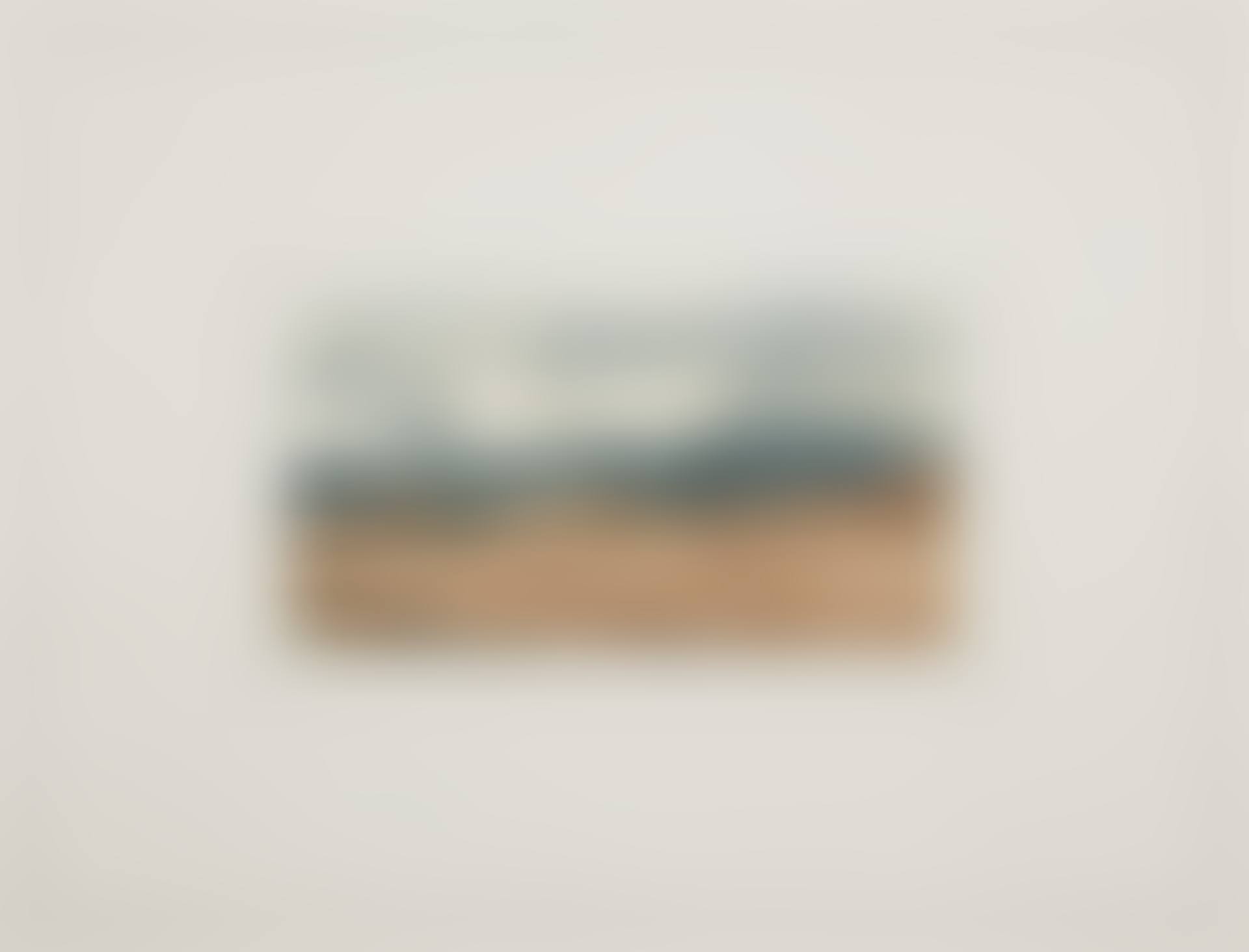 Kanarische Landschaften I (Canary Landscapes I): one plate (B. 39) (preview)
