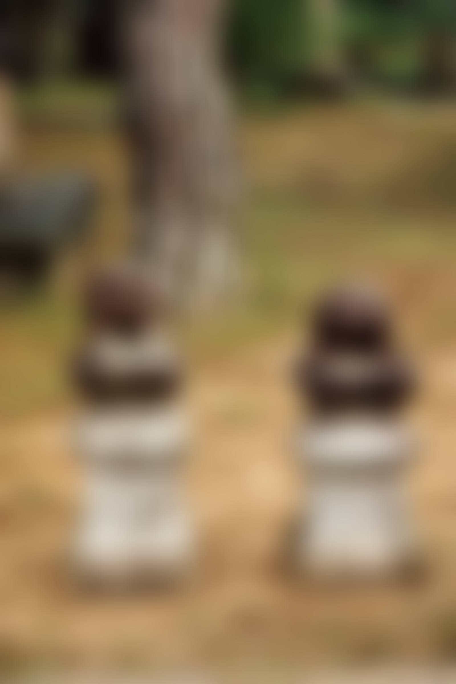 해태석 한 쌍 獬豸石 一雙 (preview)