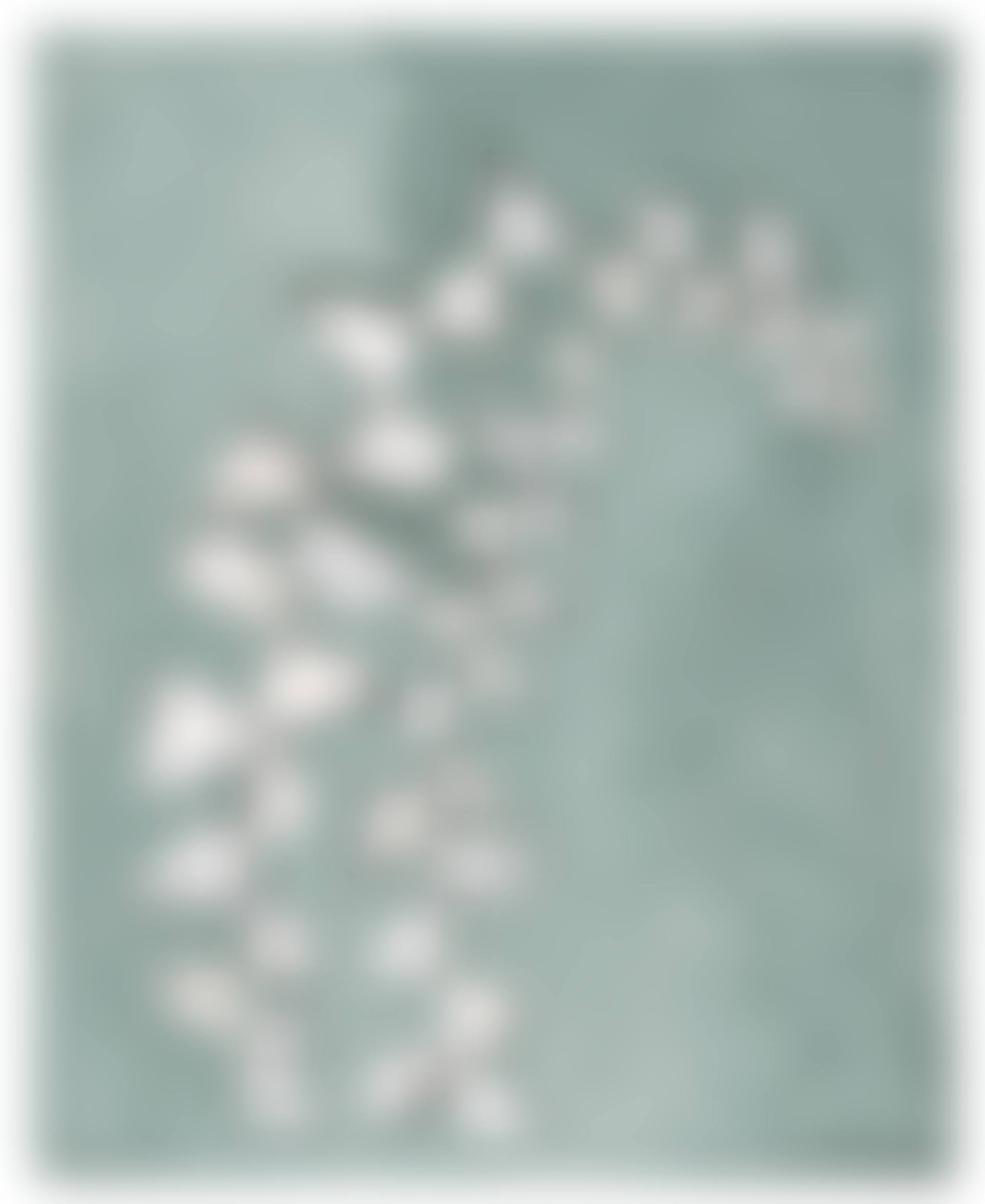 Flo's Fern (preview)