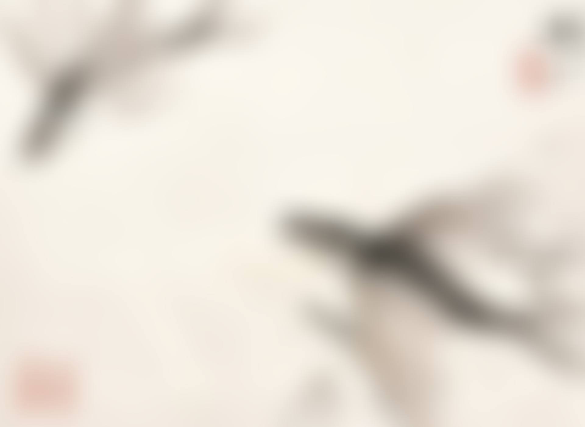 Flying Fish (preview)