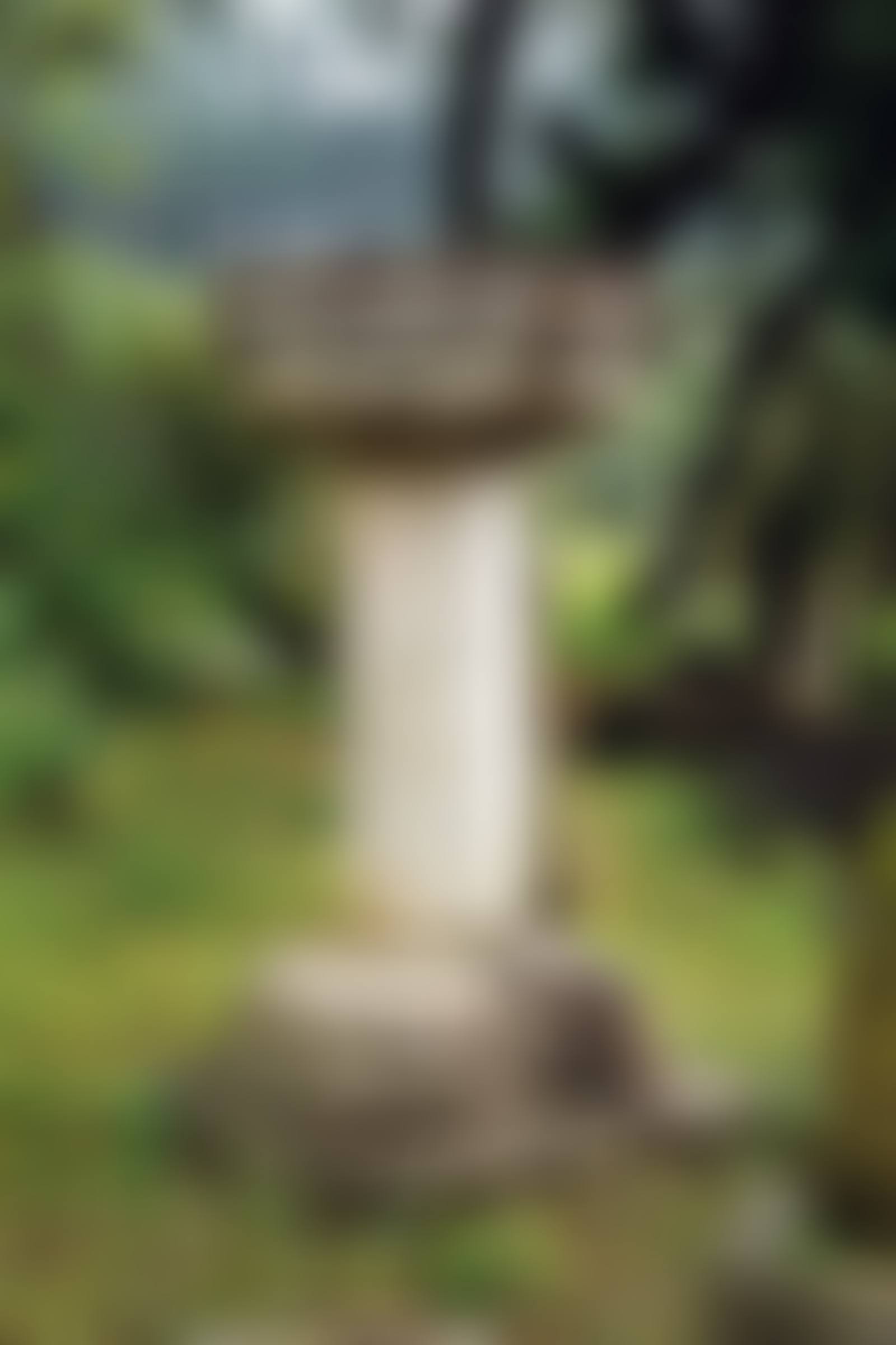 정료대 庭燎臺 (preview)