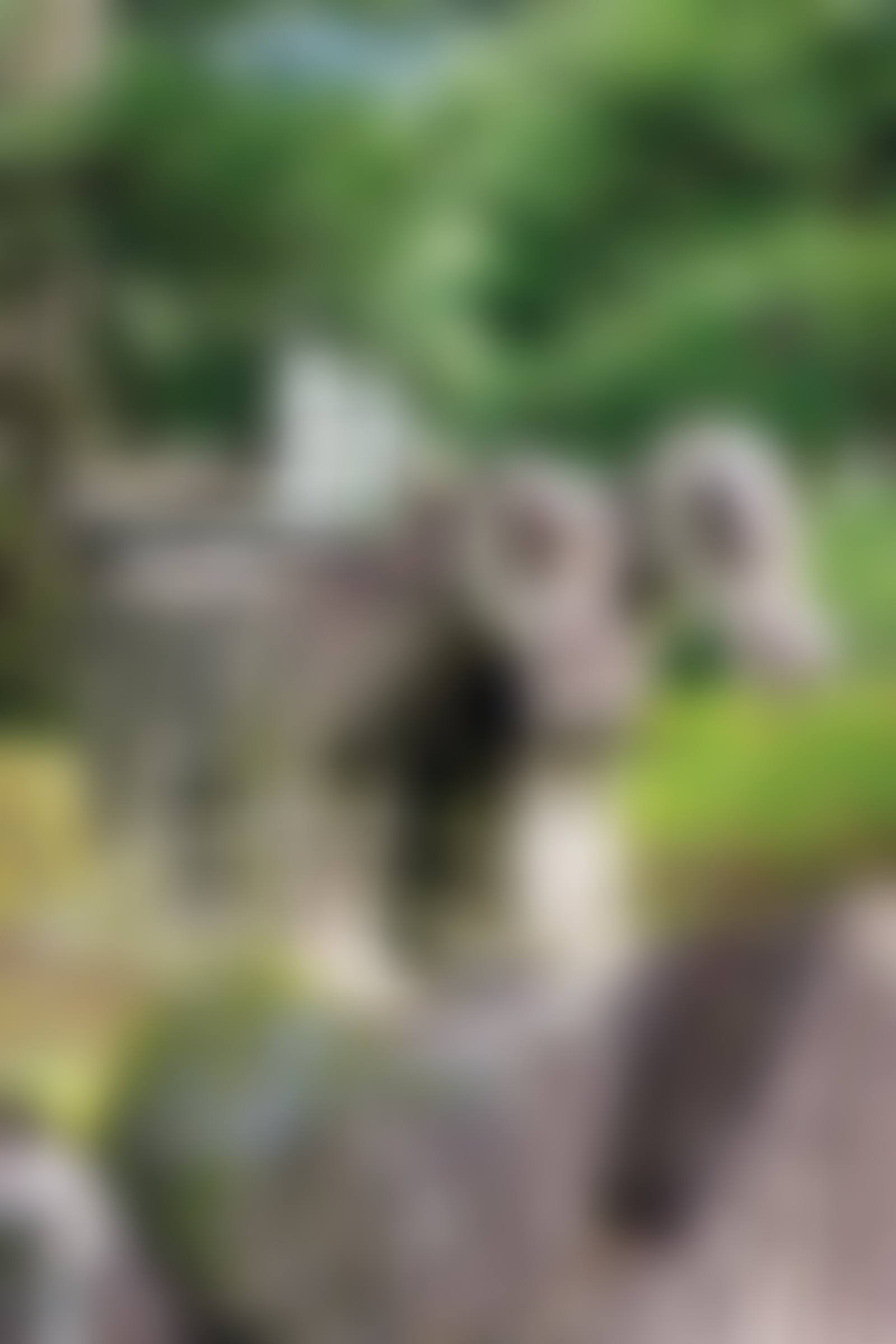 석마 한 쌍 石馬 一雙 (preview)