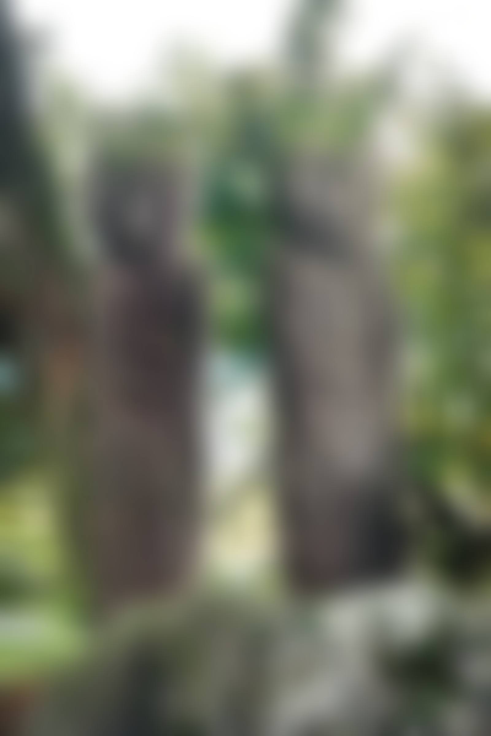 문인석 한 쌍 文人石 一雙 (preview)