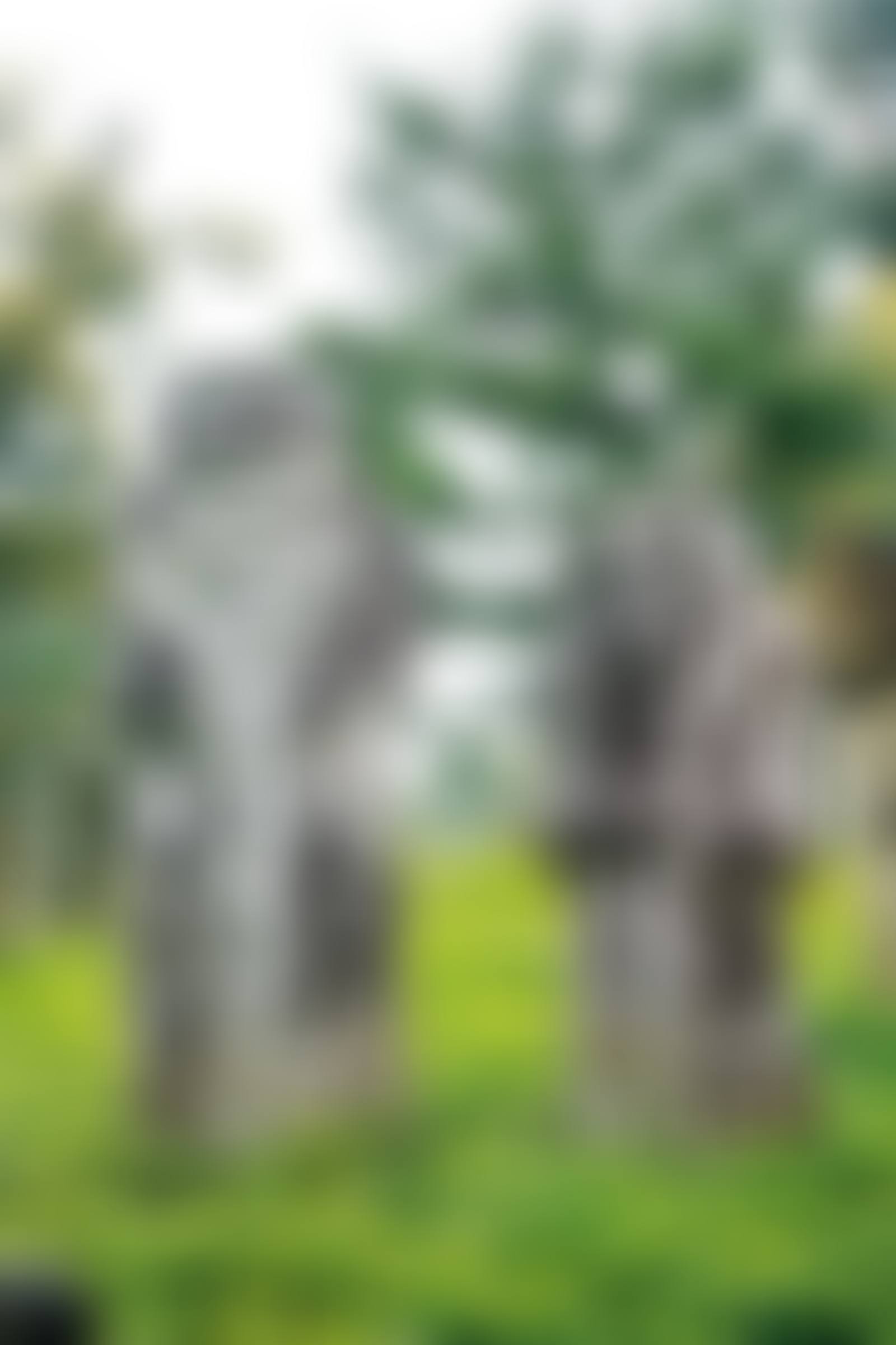 문인석 한 쌍 文人石 一雙 (preview)