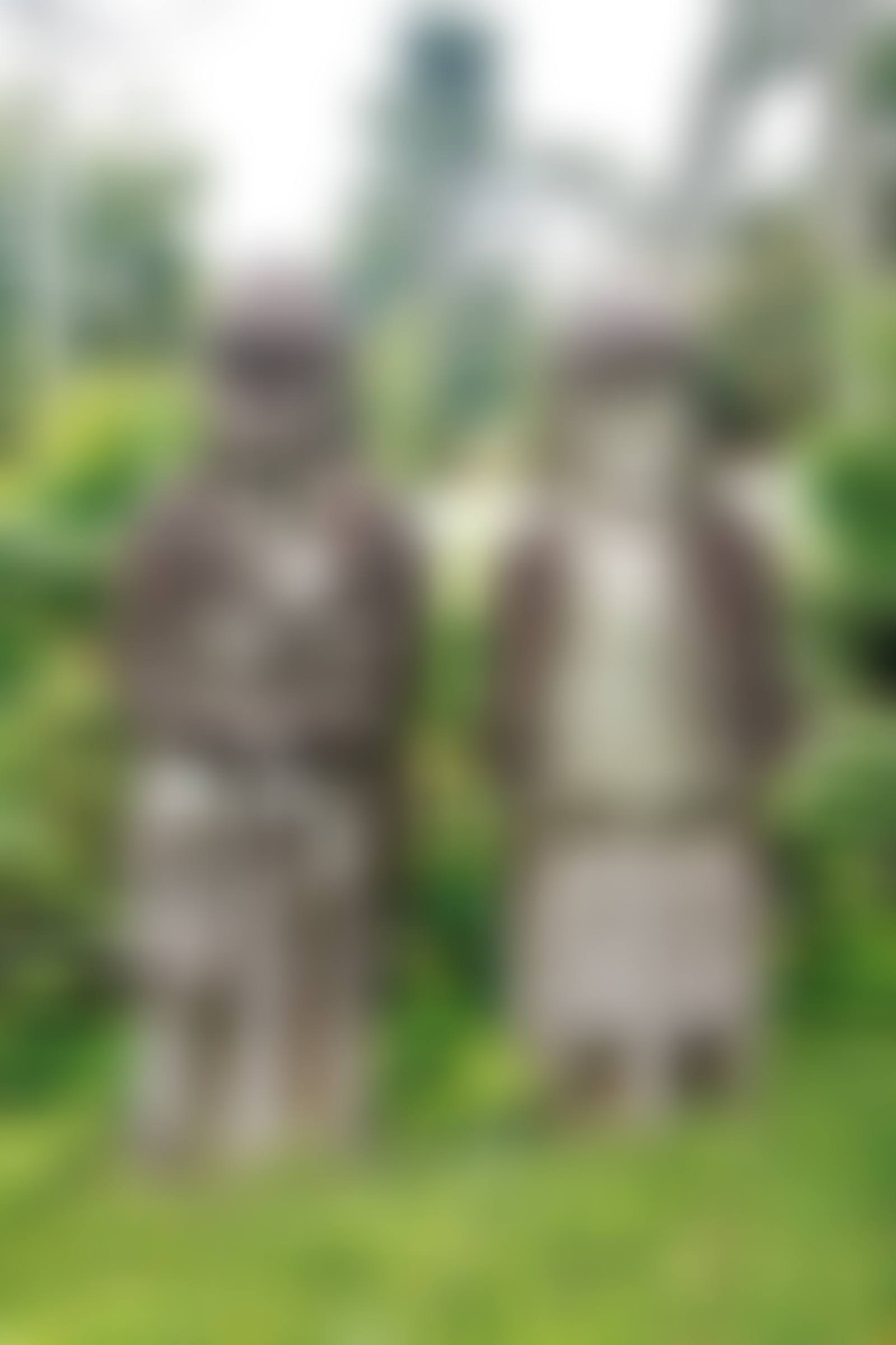 무인석 한 쌍 武人石 一雙 (preview)