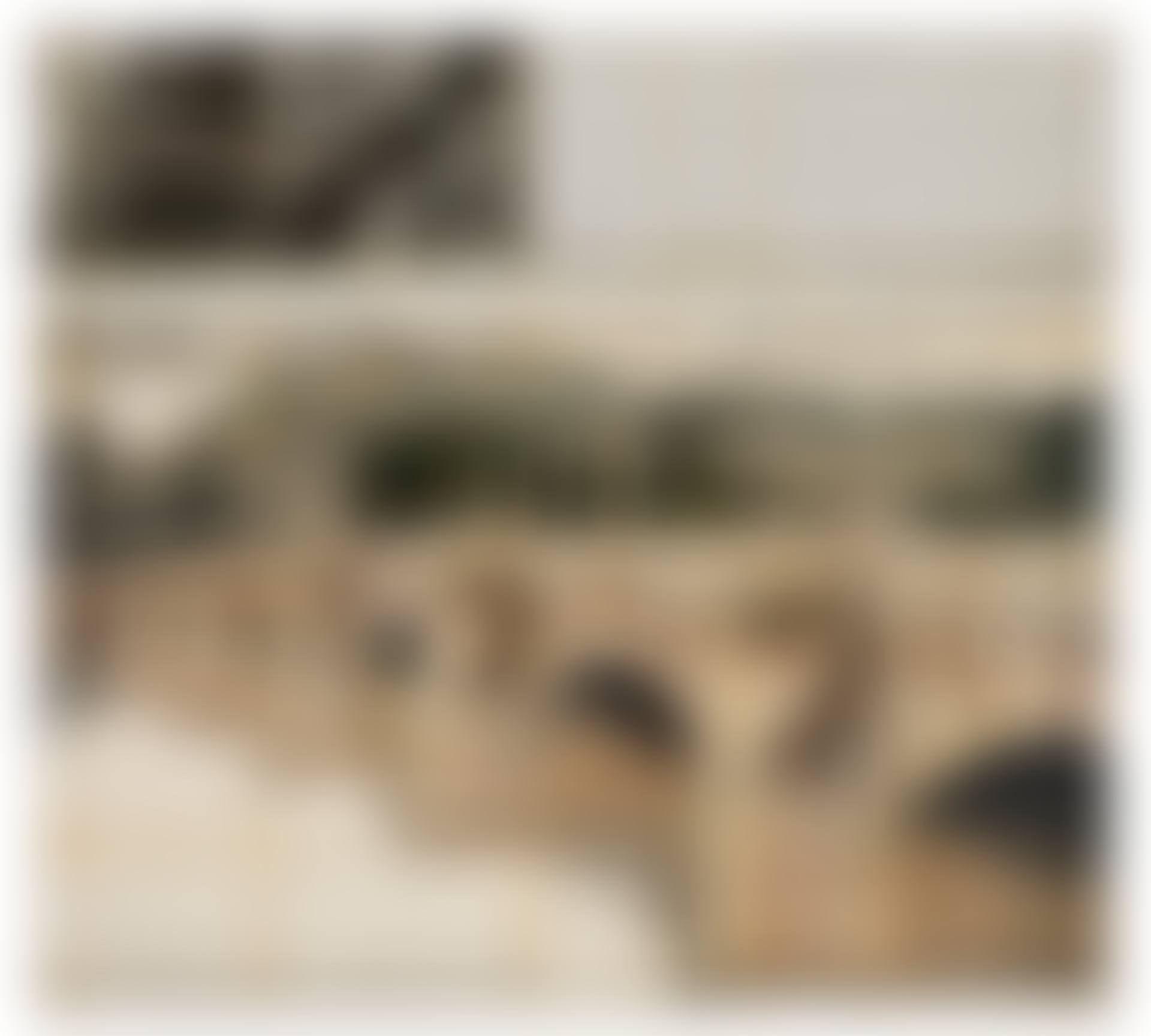 The Pont Neuf, Wrapped (Project for Paris) (preview)