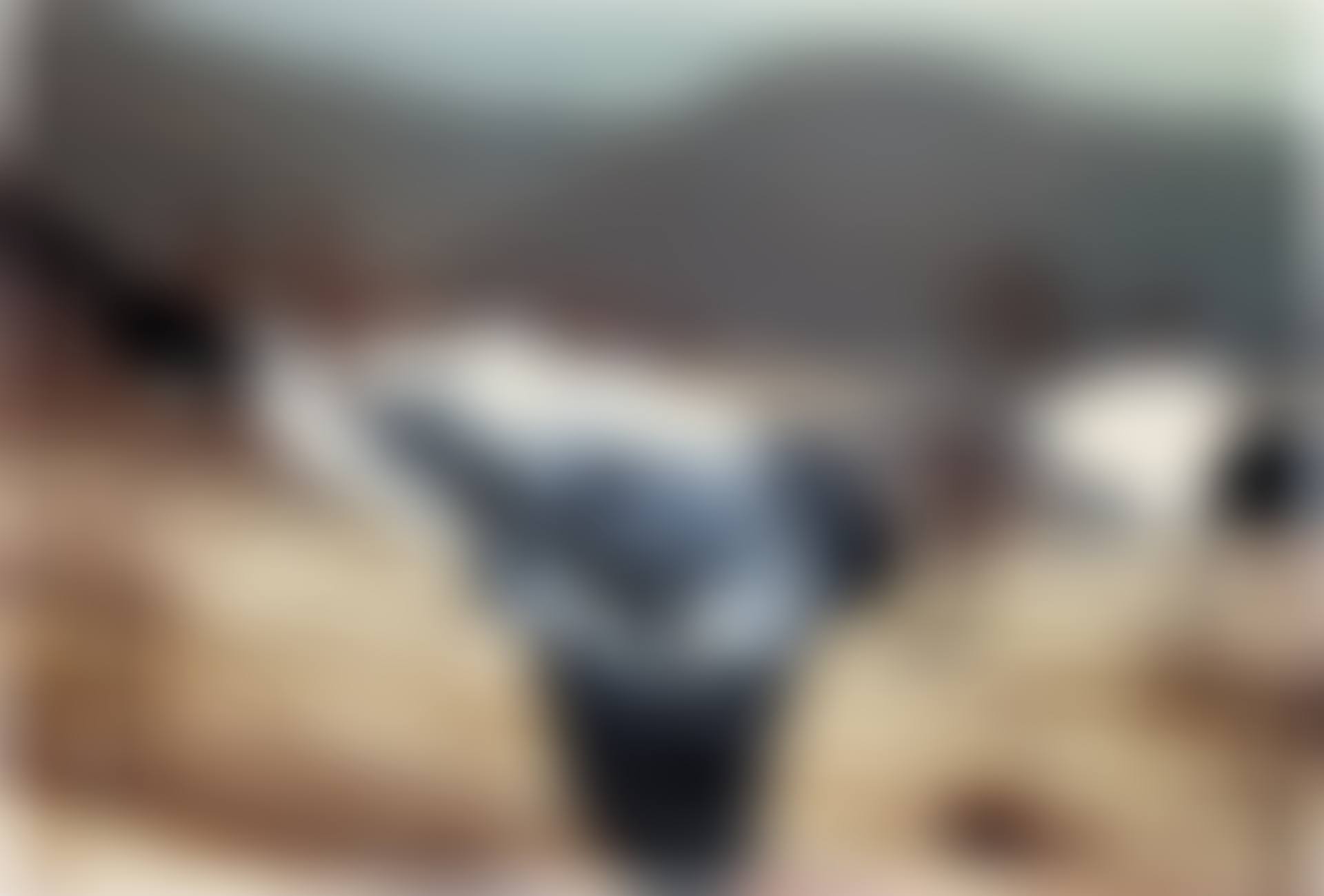 8.2.92 (preview)