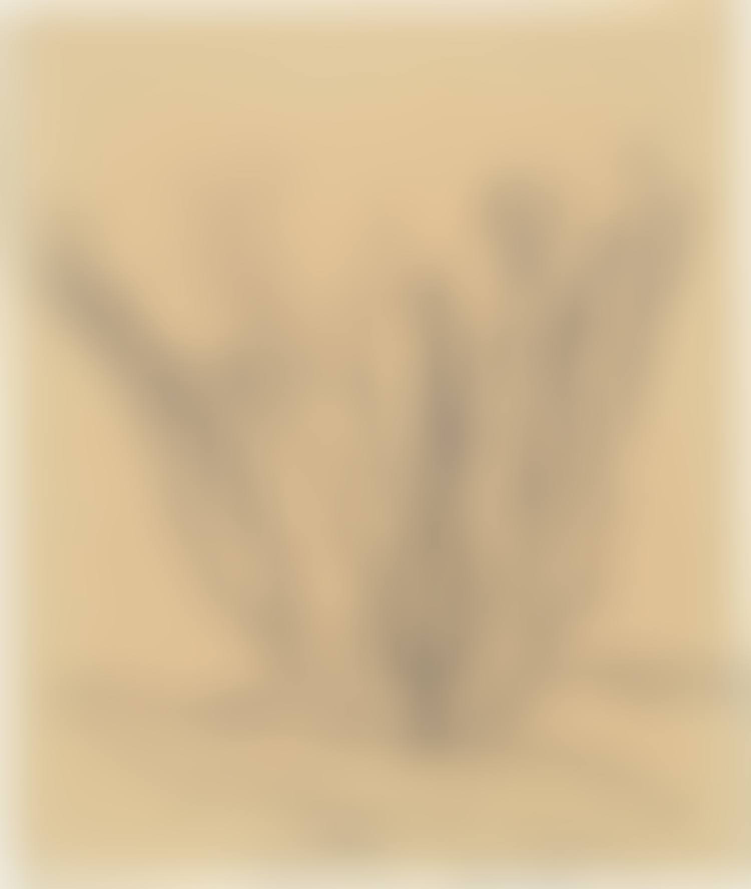 Entdeckungsfahrten ins Unbewußte (preview)