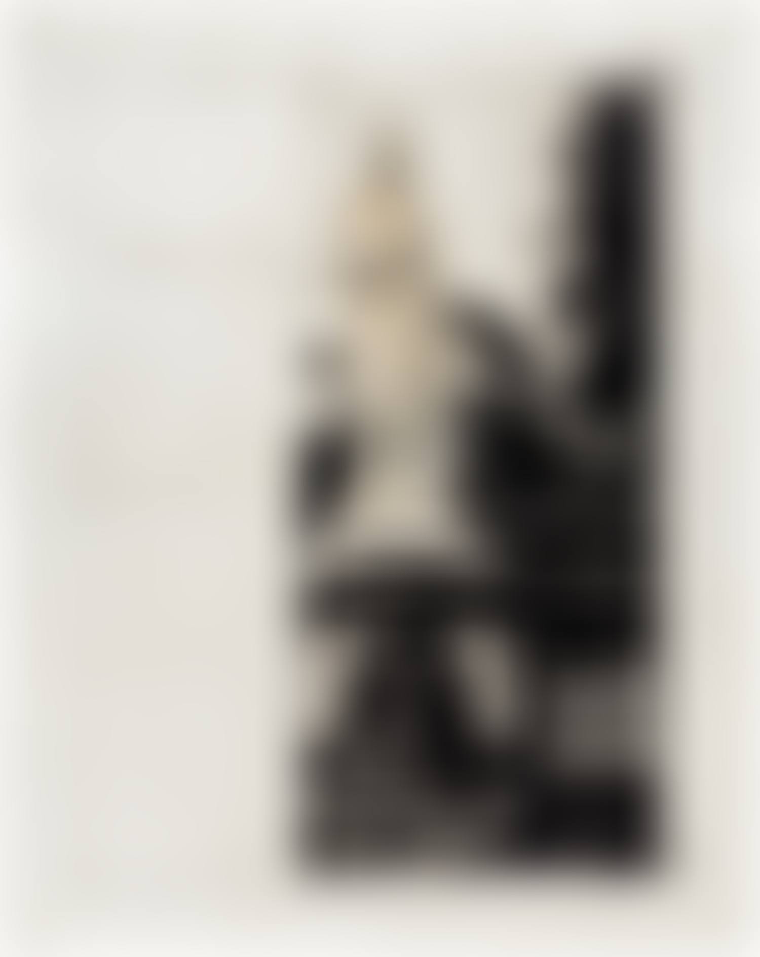 Etching Maquette for Wrapped Venus, Project for Villa Borghese, Rome (preview)