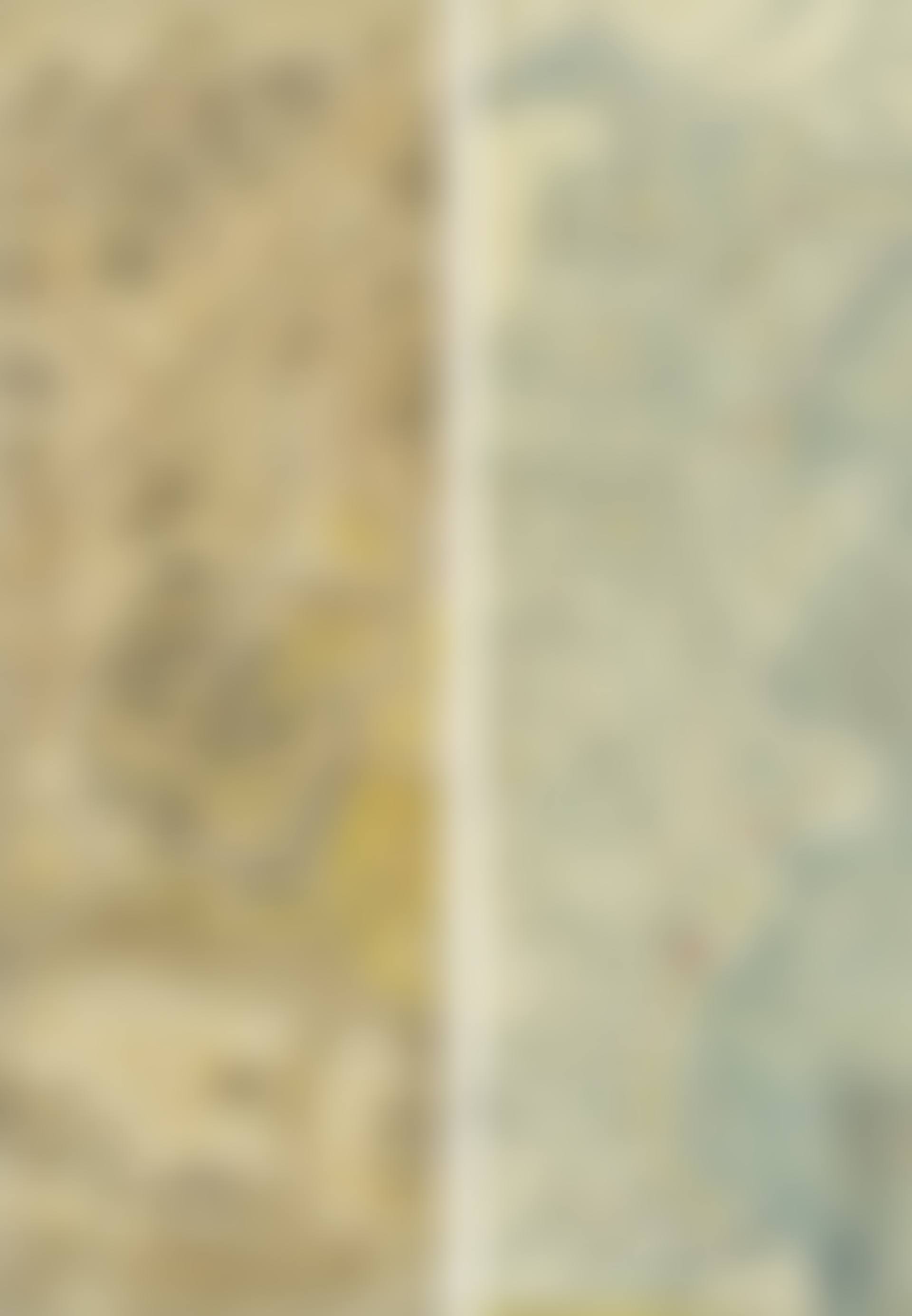 Map of Bukgwan (preview)