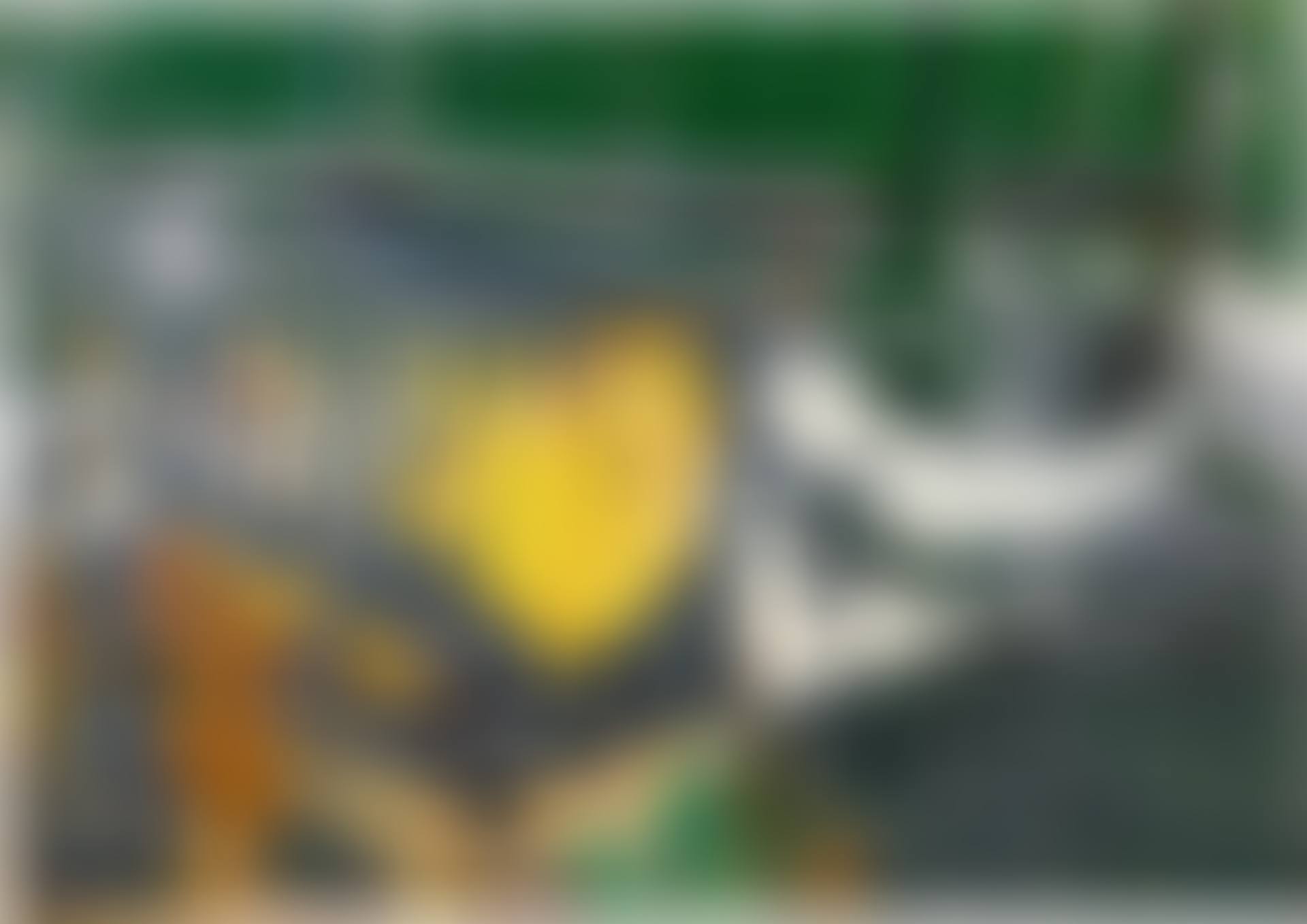 17.7.2015 (3) (preview)