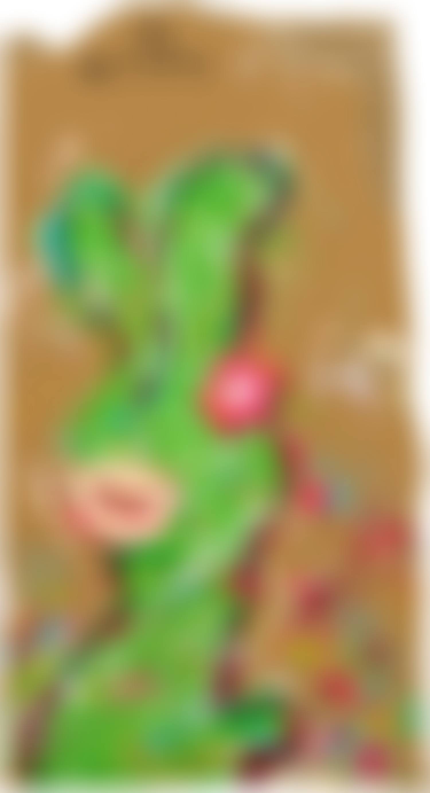 AR08-069 (preview)