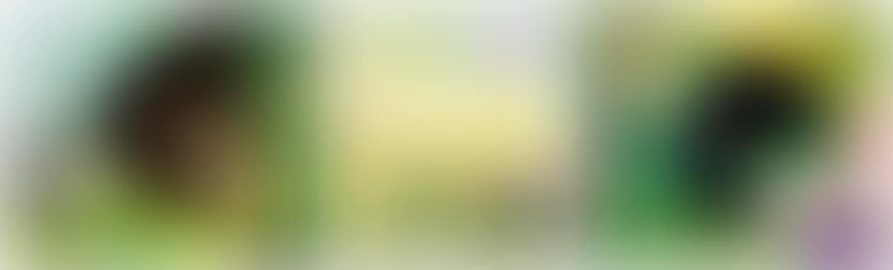 Buildinghead: Chamaeleon; Buildinghead: Palm Trees; and Yuyake-chan Miss Sunset (Three Works) (preview)